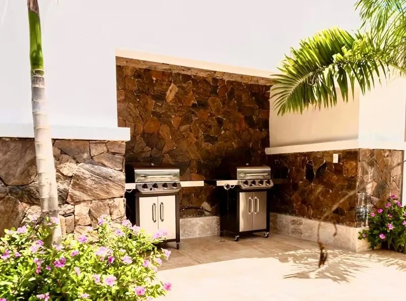 Outdoor kitchen with two stainless steel grills against a stone wall, surrounded by a palm tree and flowering plants.