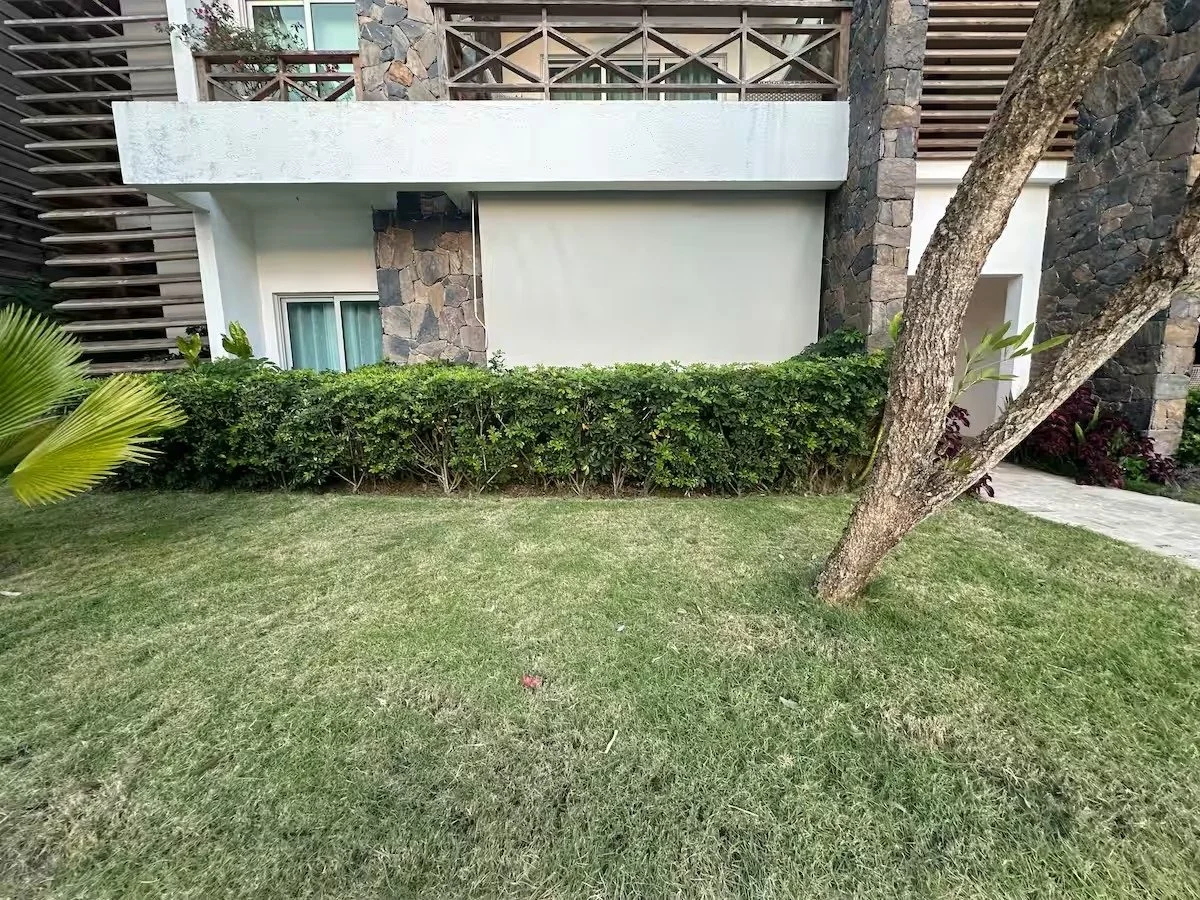 Área exterior de un edificio con jardín, césped, arbustos y un árbol; fachada de piedra y balcones.