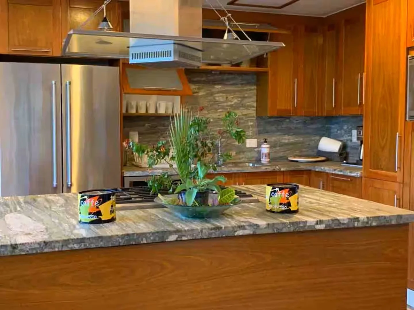 Cocina con encimera de granito, cocina de madera, refrigerador grande de acero inoxidable, plantas en un centro de mesa, tazas de café y otros utensilios de cocina.