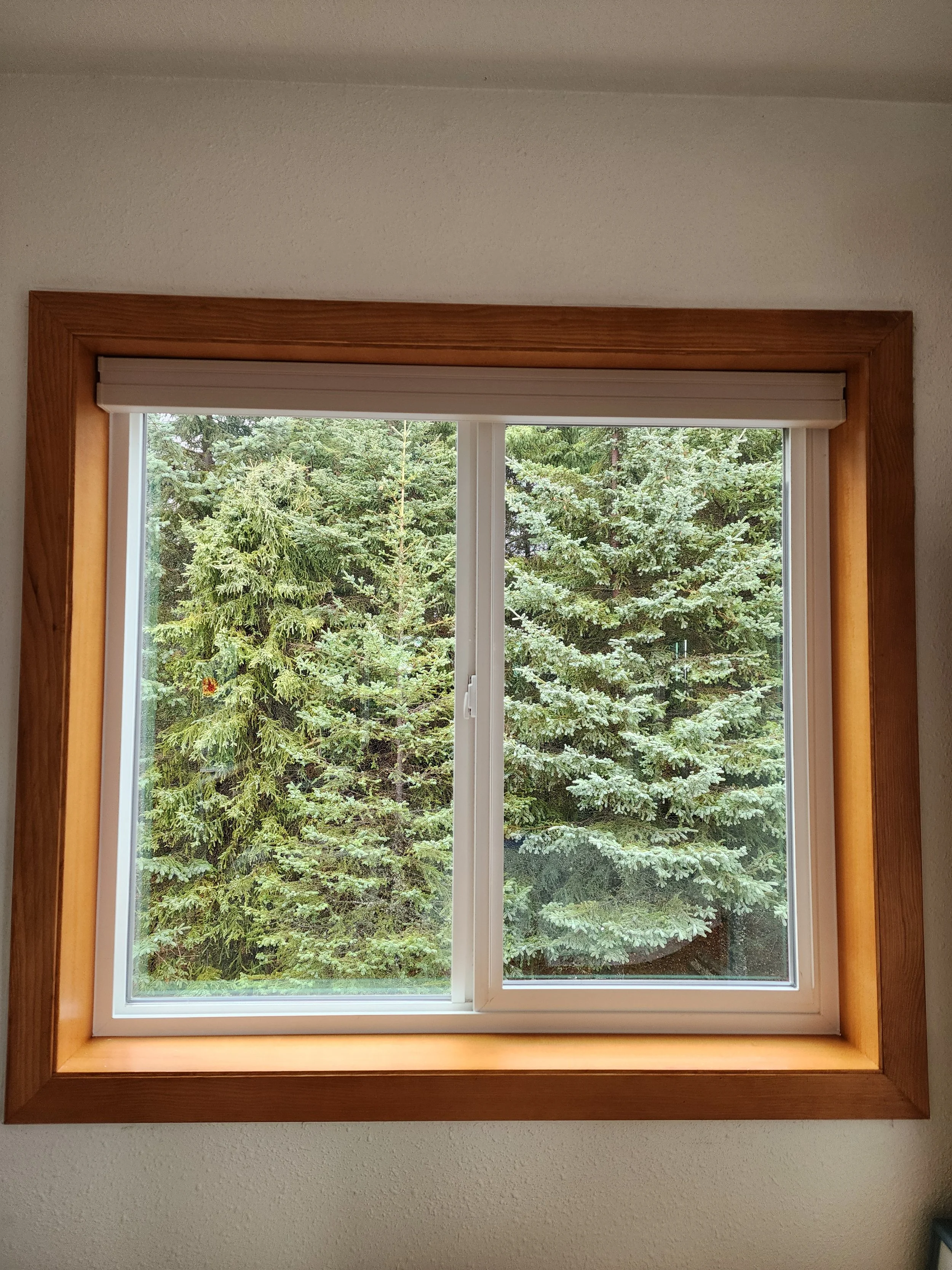 Stained trim with vinyl window.jpg