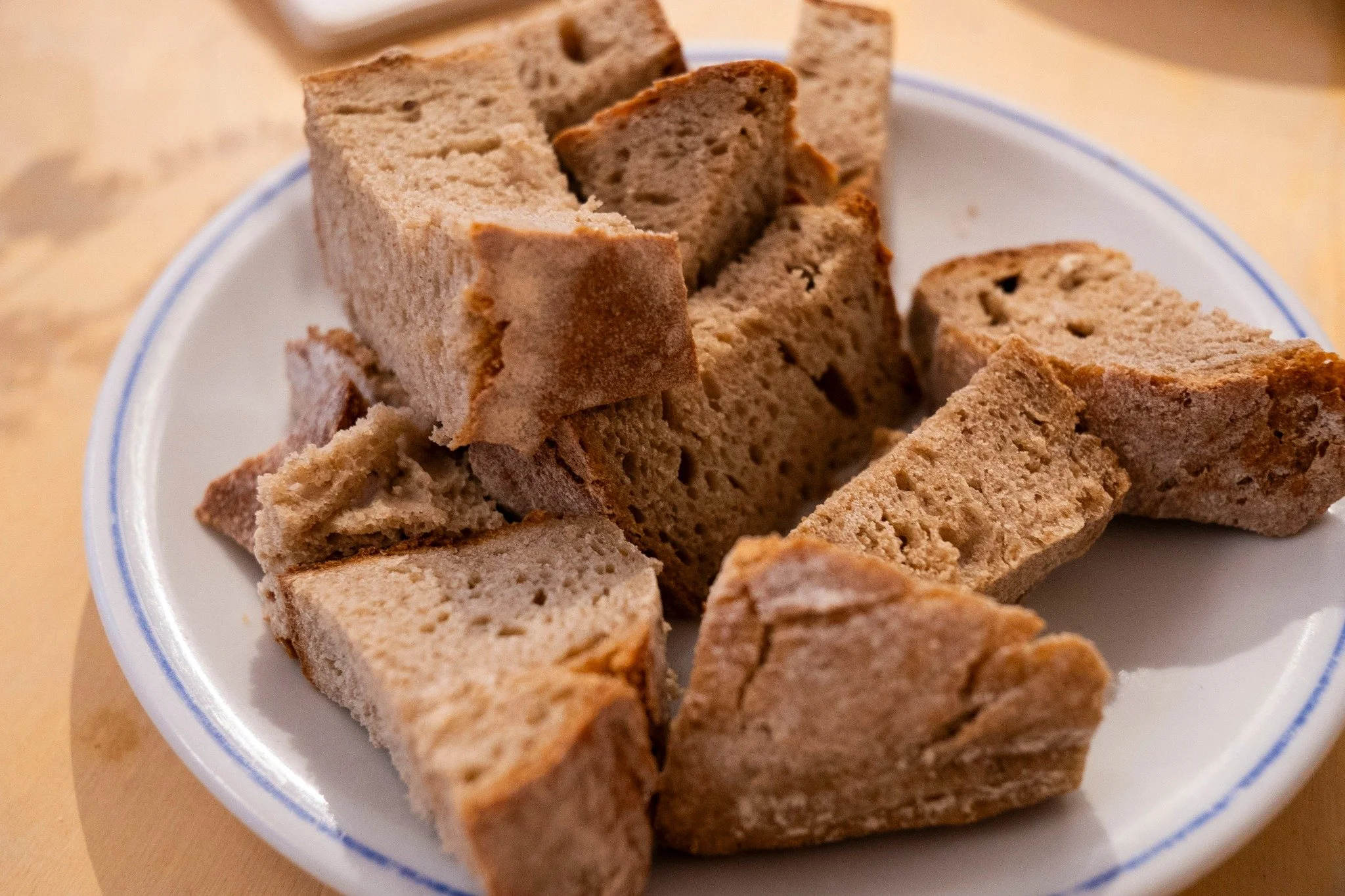 Encontro informal com o público depois da Apresentação Pública- Casa da Terra- 12/04/2025