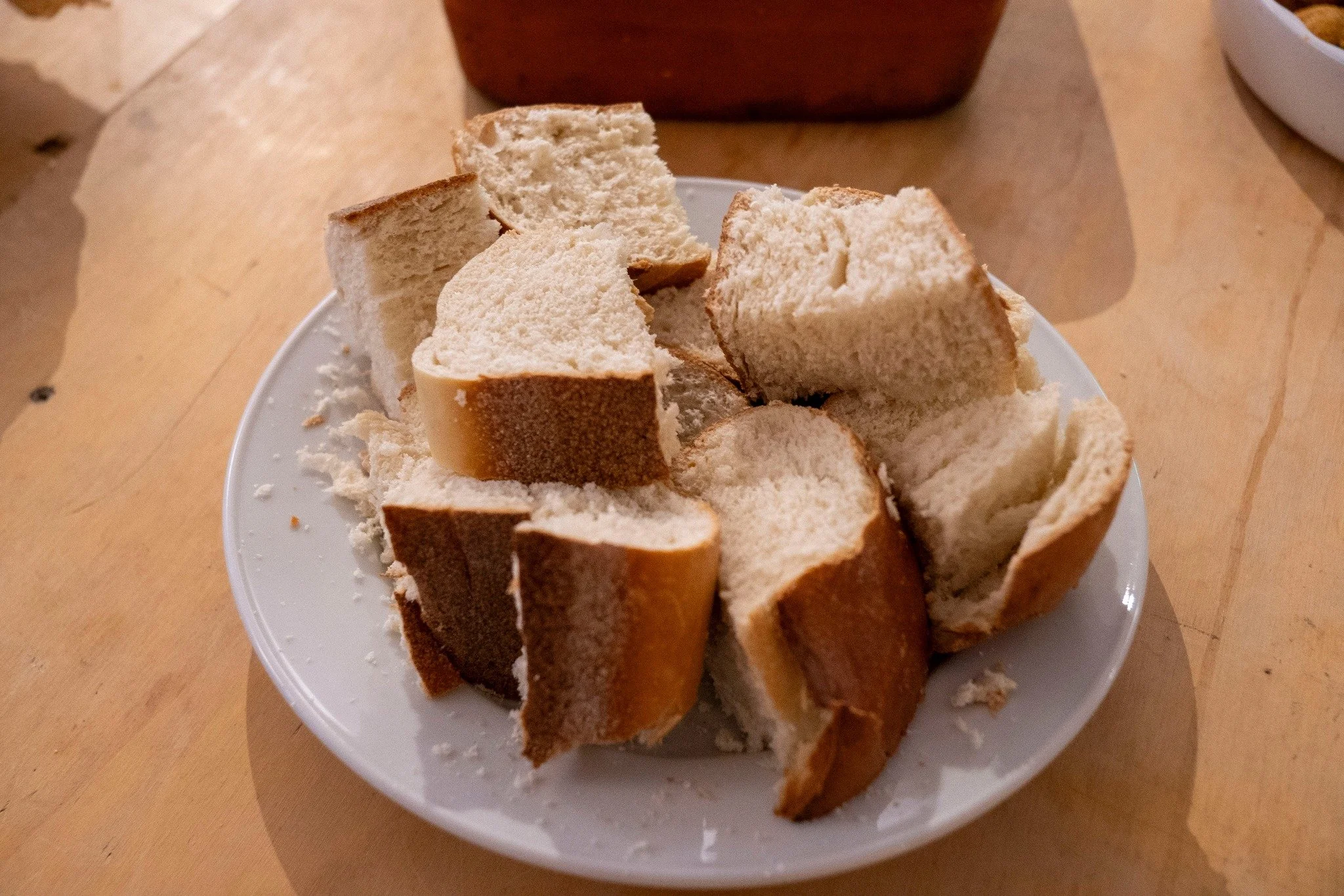 Encontro informal com o público depois da Apresentação Pública- Casa da Terra- 12/04/2025