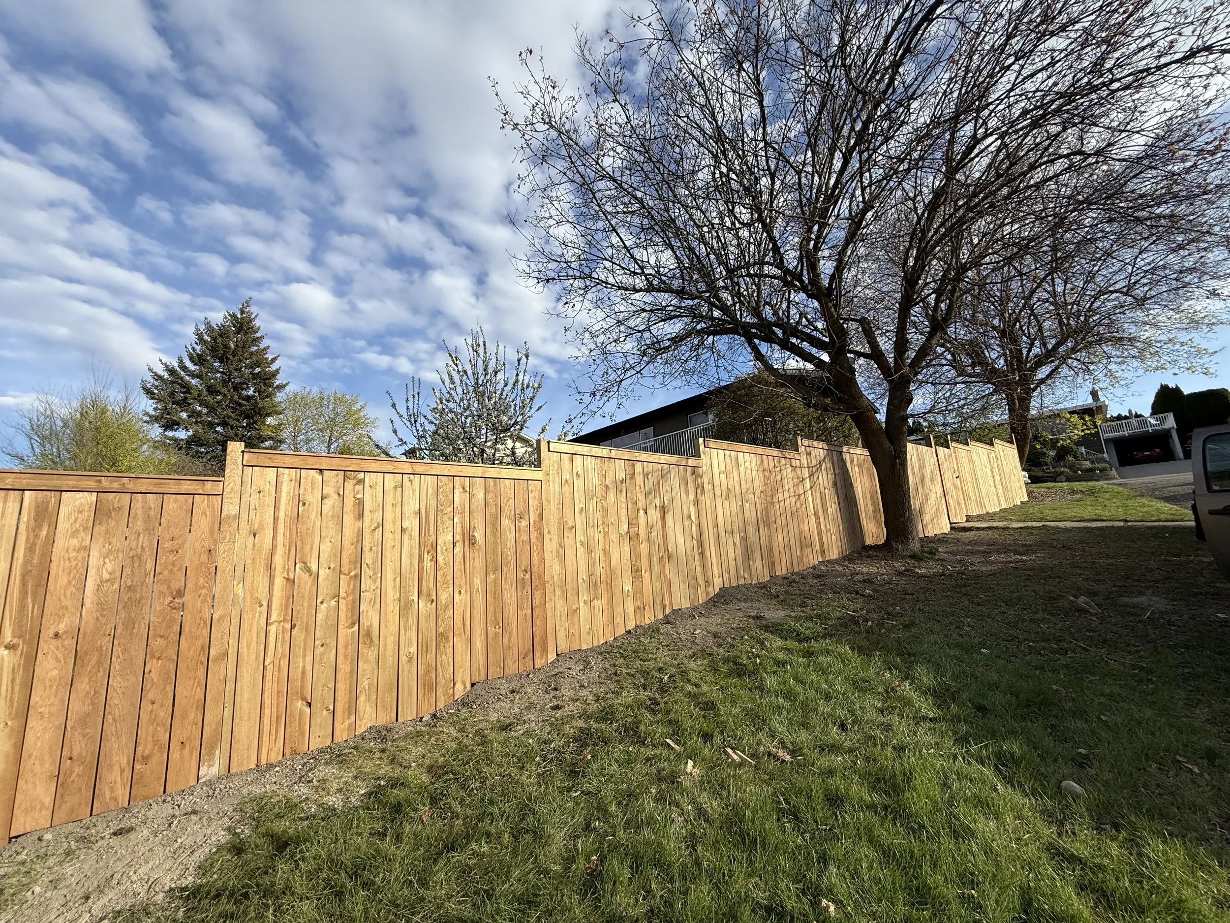 A wooden fence running along a grassy yard with a large leafless tree, other trees in the background, a house with a balcony, and a clear blue sky with scattered clouds.
