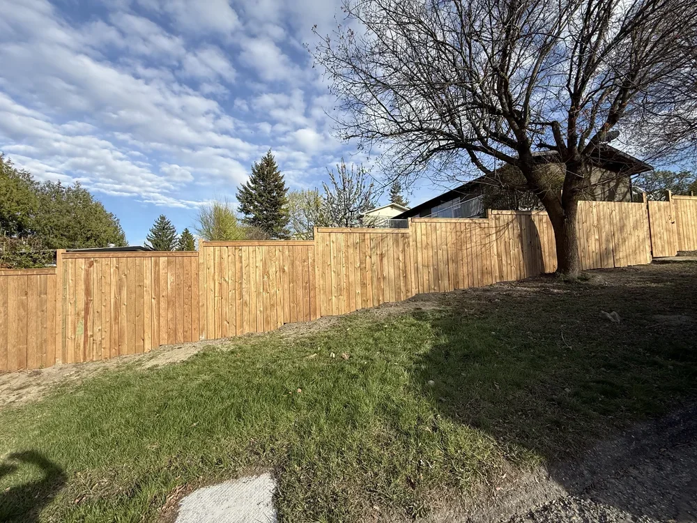 New wooden fence along a backyard with grass, trees, and a house in the background on a partly cloudy day.