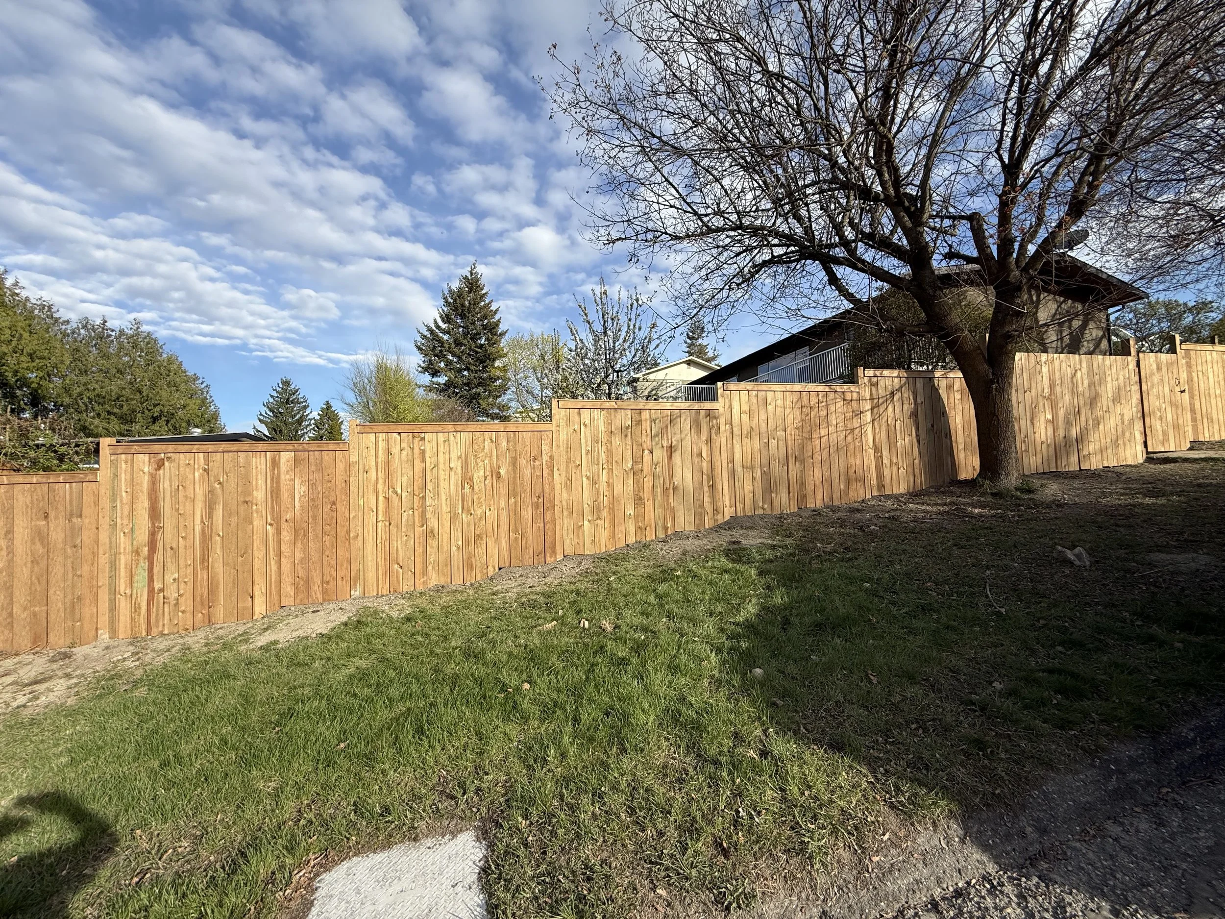 New wooden privacy fence installed along backyard with a large leafless tree and a house with a balcony in the background, under a partly cloudy sky.