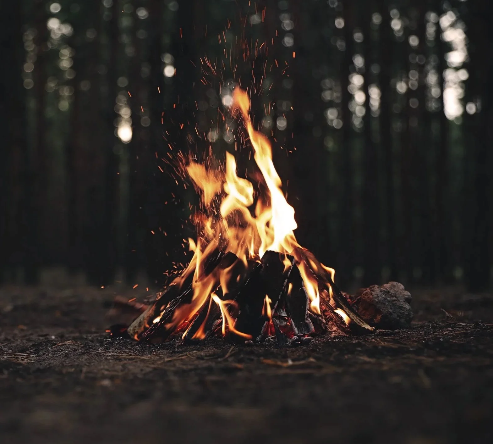 A small fire burns on the forest floor, with flames rising from stacked wood against a dark woodland background.