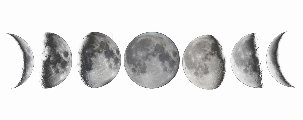 phases of the moon