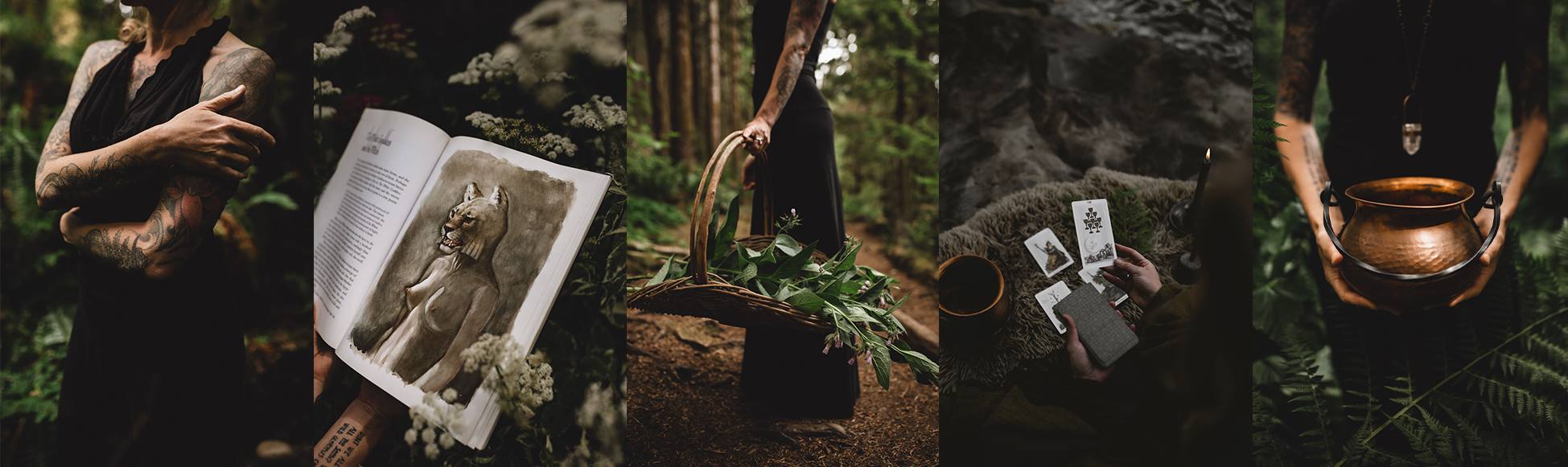 A composite image depicting ritual practices in a forest setting, including tattooed arms in self-embrace, a botanical illustration book, gathered herbs in a basket, tarot cards laid on moss, and hands holding a copper bowl.
