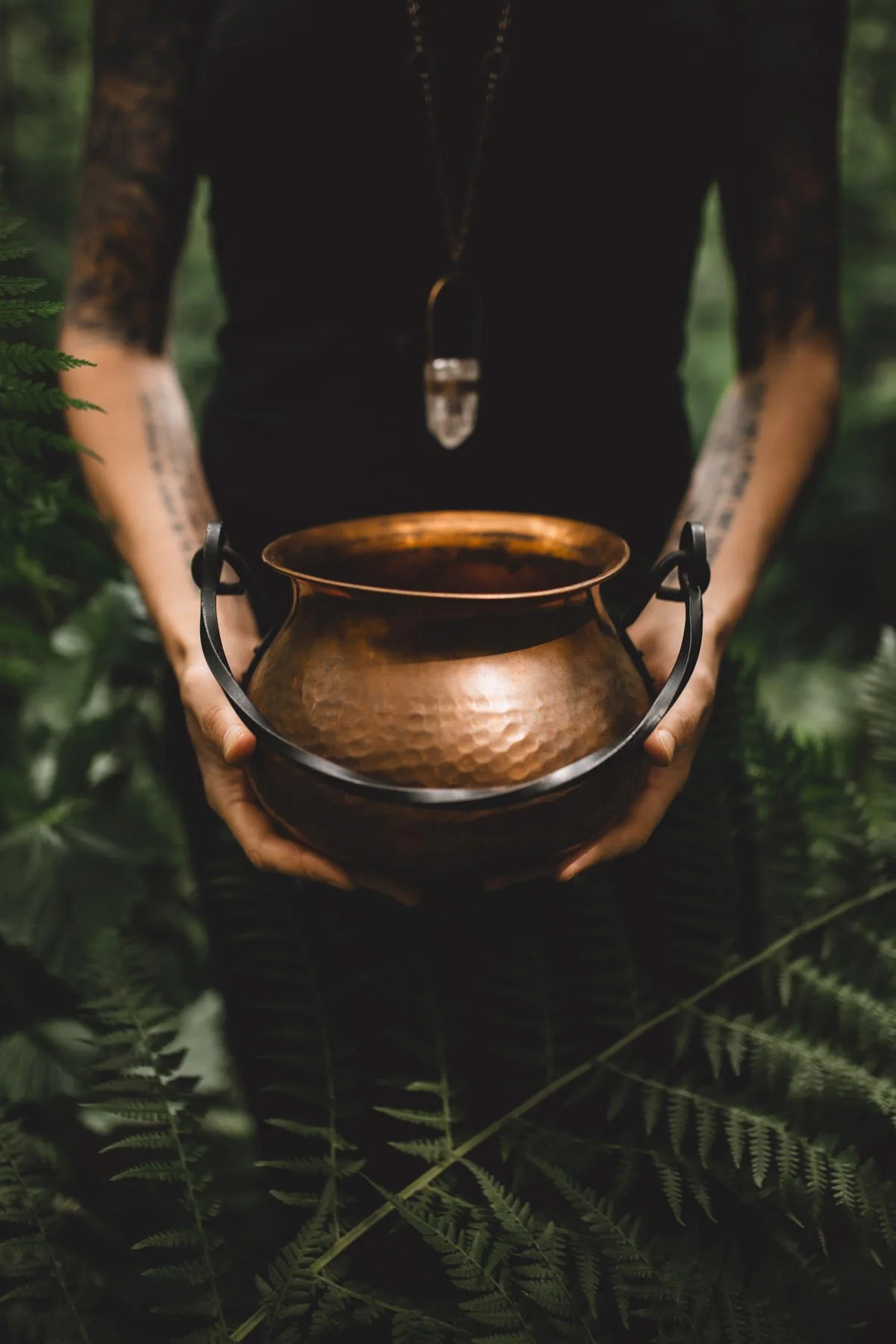 Hands holding a copper cauldron surrounded by a fern-filled forest.