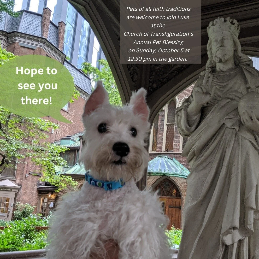 All are welcome to join us for our annual pet blessing this Sunday, October at 12:30 pm  in the garden! Well behaved pets are invited to attend our 11 am mass as we also celebrate our 177th Foundation Day.

🏷️: #littlechurcharoundthecorner #petbless