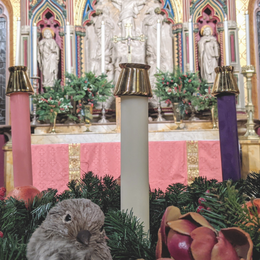 Weekly Update from Fr. van Dooren 12.12.25