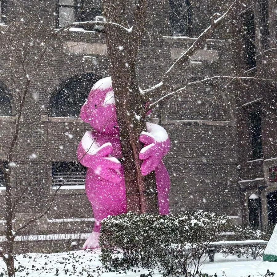 Mr. Pink continues to spread joy even during the snowstorm! 🩷 We hope everyone is staying safe and warm today. 🙏

. . .
🏷️: #FlatironNoMad #FlatironNomadGlowsPink #WinterGlow #MrPink #thelittlechurch #littlechurch #littlechurchnyc #flatirondistric
