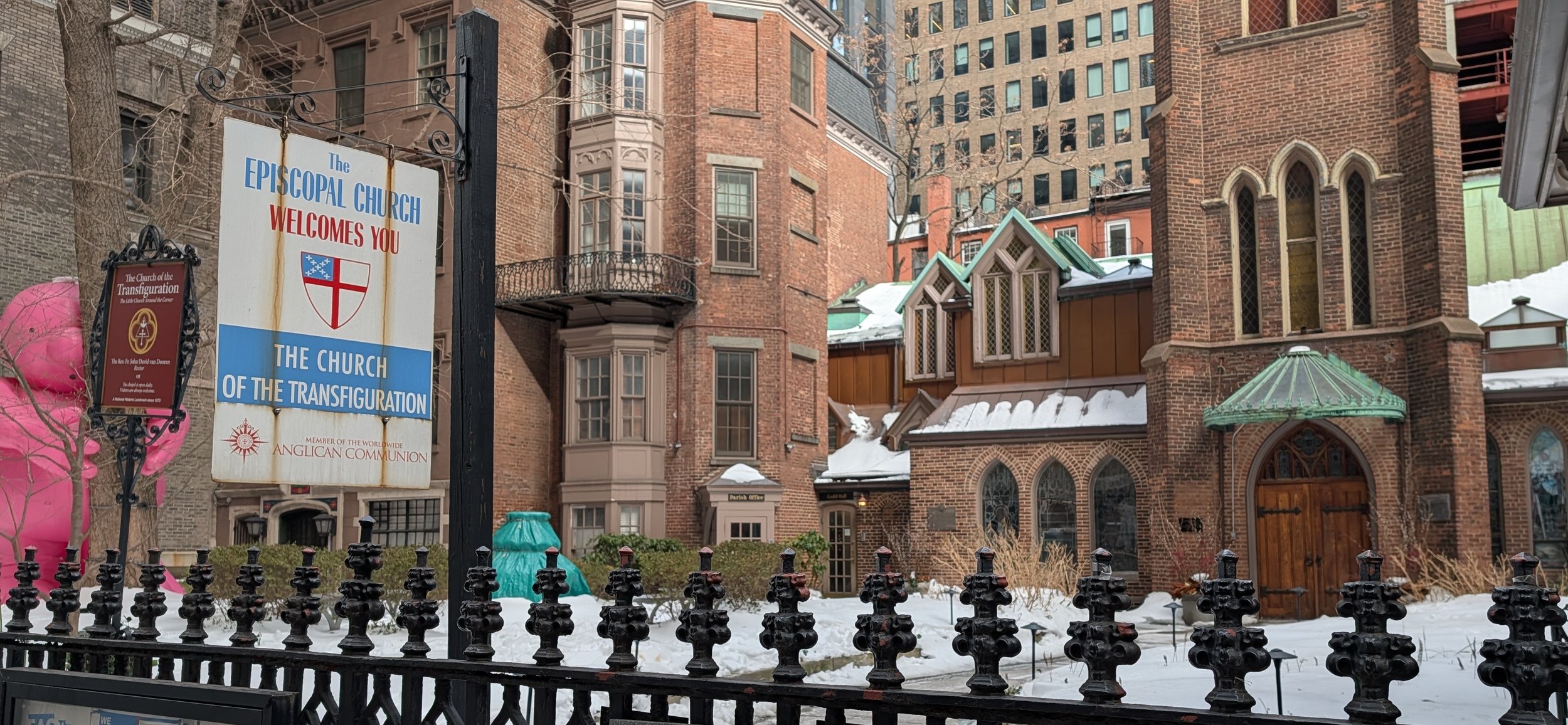 Weekly Update from Fr.  van Dooren 2.6.26