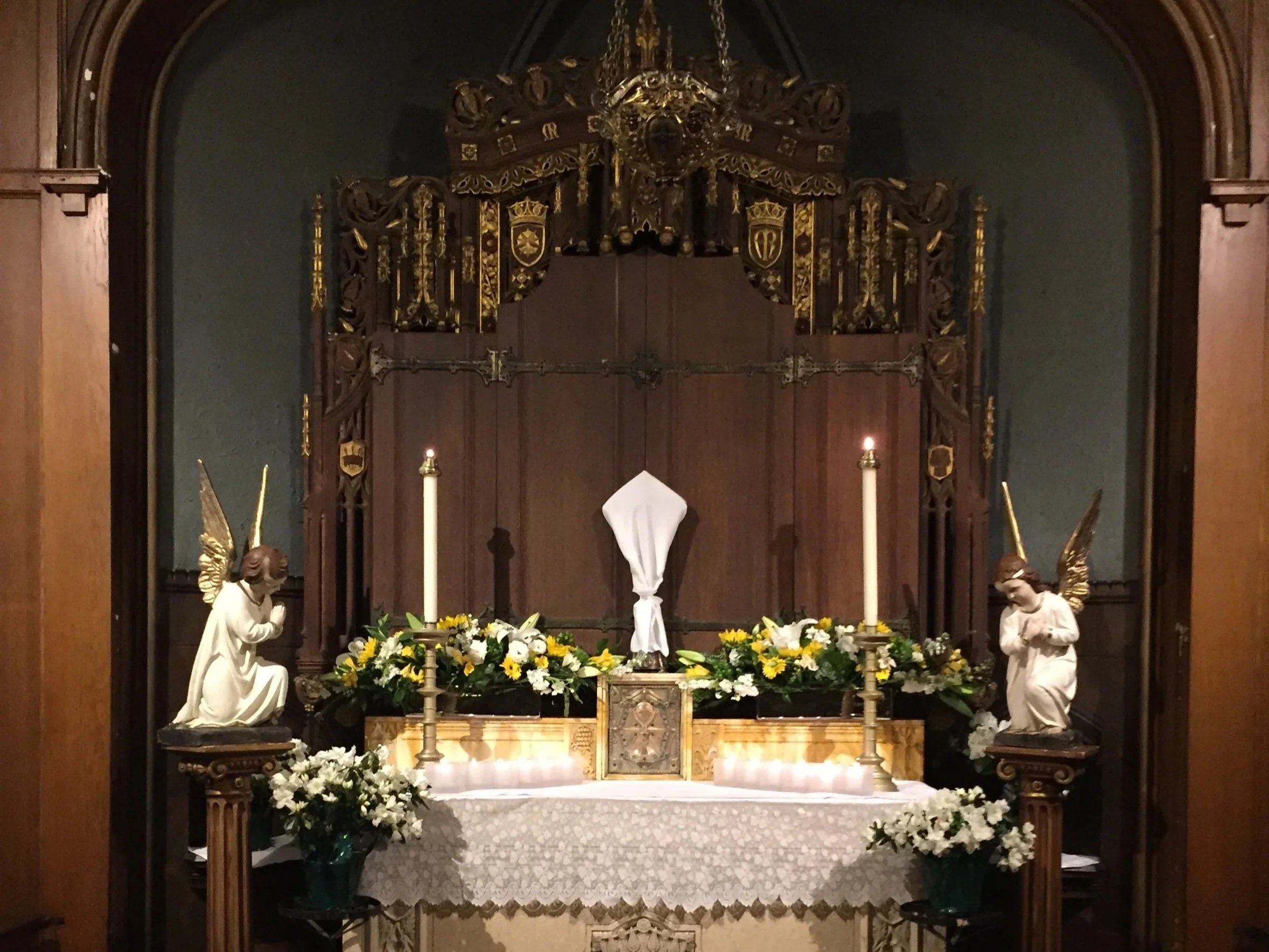 Weekly Update from Fr. van Dooren 4.2.26