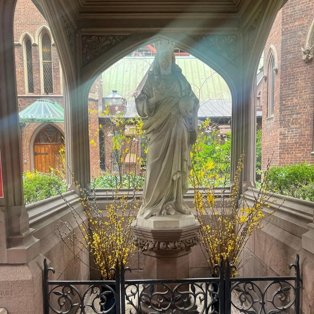 Weekly Update from Fr. van Dooren 4.10.26