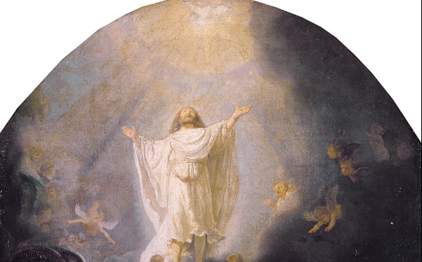 Weekly Update from Fr. van Dooren 5.14.26