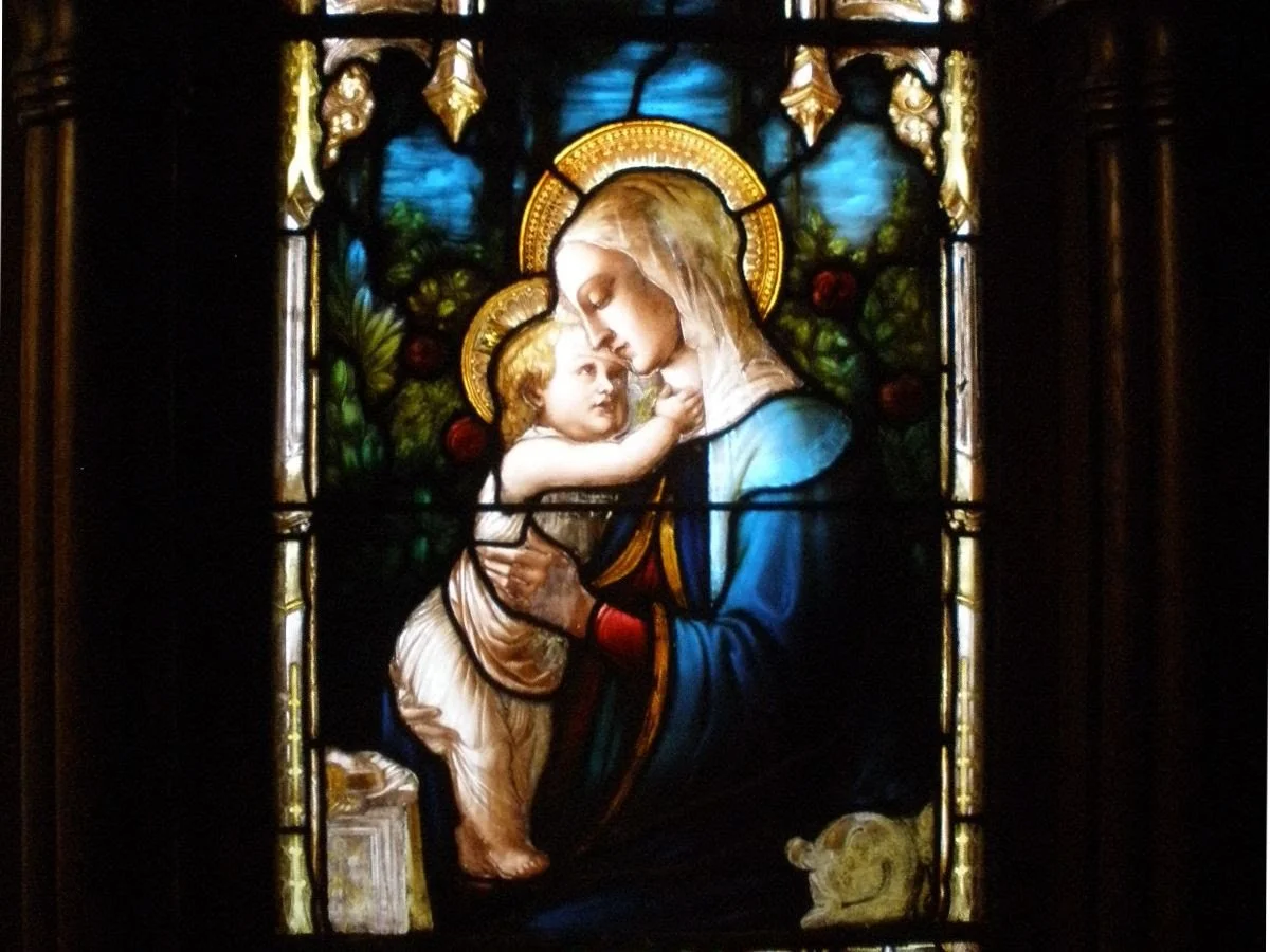 Weekly Update from Fr. van Dooren 8.14.26