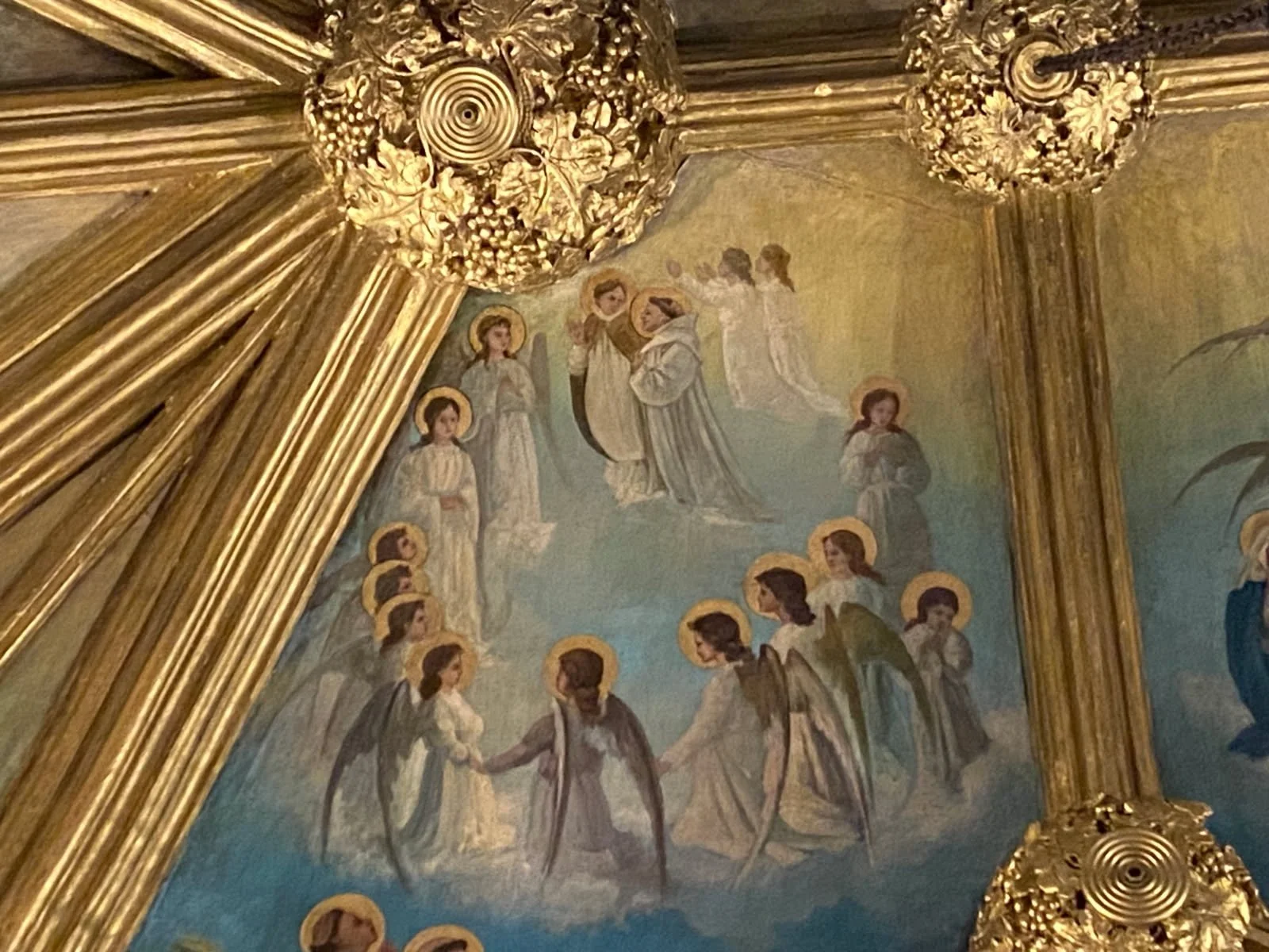 Weekly Update from Fr. van Dooren 8.21.26