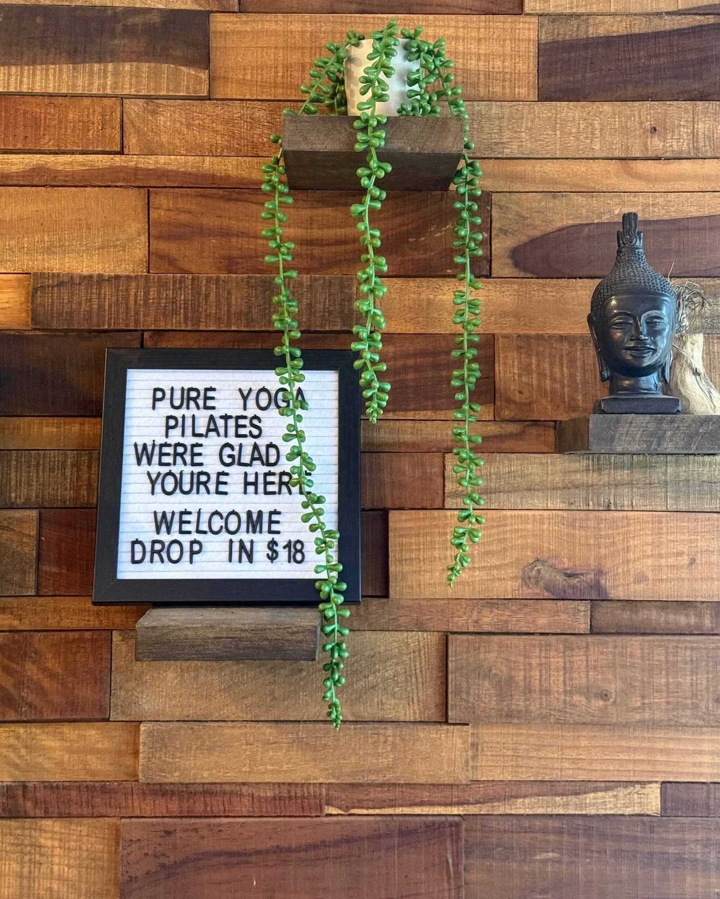 Wednesday Schedule 

9:00 AM Yoga All Levels with Elaine
12:00 PM All Levels Flow Express with Meagan
5:00 PM Barre with Meredith
6:00 PM Vinyasa Yoga with Elaine
7:30 PM Flow &amp; Restore Yoga with Marylouise

#selfcare #yoga #yogaeveryday #flowres