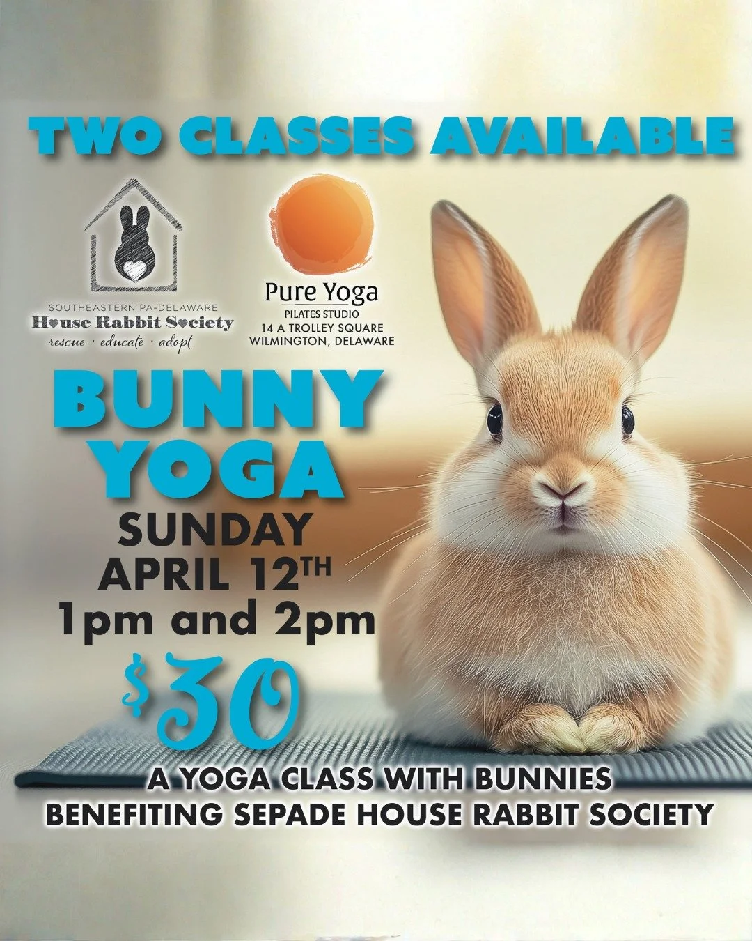 🐇🧘🏼&zwj;♂️ BUNNY YOGA - Classes are starting to fill up - DON'T MISS YOUR CHANCE TO PRACTICE YOGA WITH BUNNIES!  Register soon to hold your spot.

Join us for Bunny Yoga. Yoga with bunnies sounds like something of your wildest dreams but it is rea