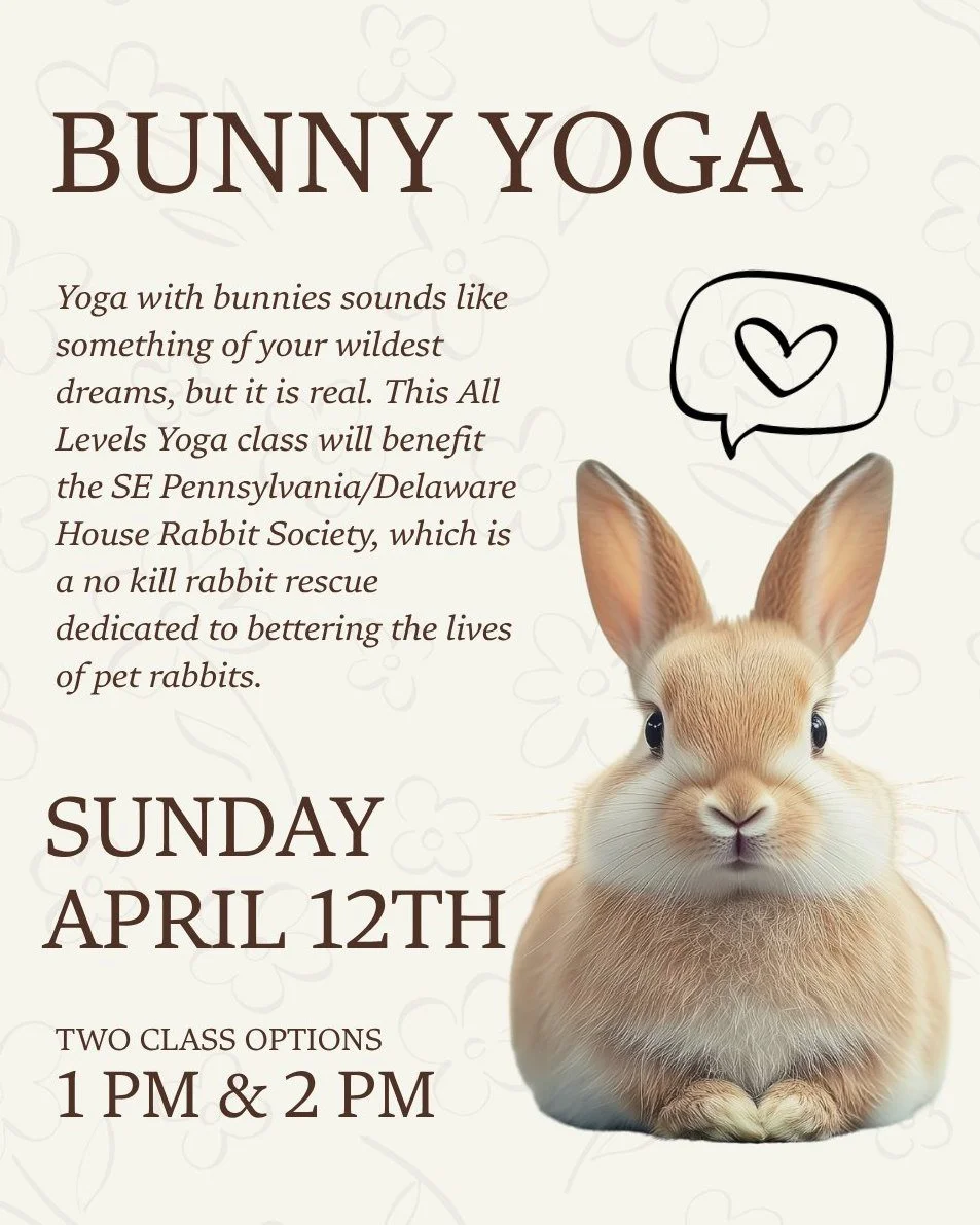🐇🧘🏼&zwj;♂️ BUNNY YOGA - Sunday, April 12th - Register ASAP to hold your spot.

Join us for Bunny Yoga. Yoga with bunnies sounds like something of your wildest dreams but it is real. Class will benefit the The SE Pennsylvania/ Delaware House Rabbit