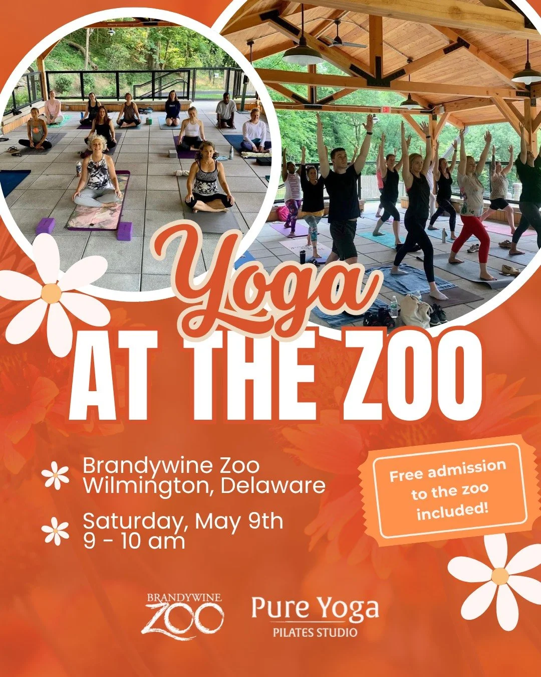 Yoga at the Brandywine Zoo is this Saturday!
Join us for yoga in the pavilion overlooking the lemurs at the Brandywine Zoo. This special event is a one hour All Levels Flow Yoga class in the semi-enclosed pavilion at the Brandywine Zoo.
This event in