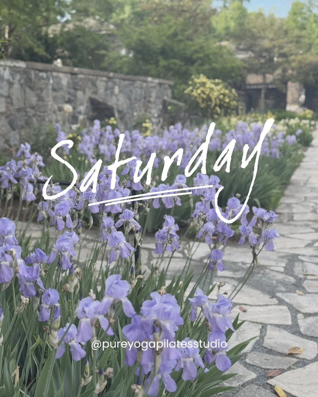 Saturday - Outdoor Garden Yoga this morning at Gibraltar! 🌹

8:30 AM Vinyasa Yoga with Meredith
10:00 AM Barre with Elizabeth
10:30 AM Garden Yoga at Gibraltar with Sarah 
12:00 PM Beginner Yoga with Rocio

#wilmingtondelaware #inwilmde #weekendyoga