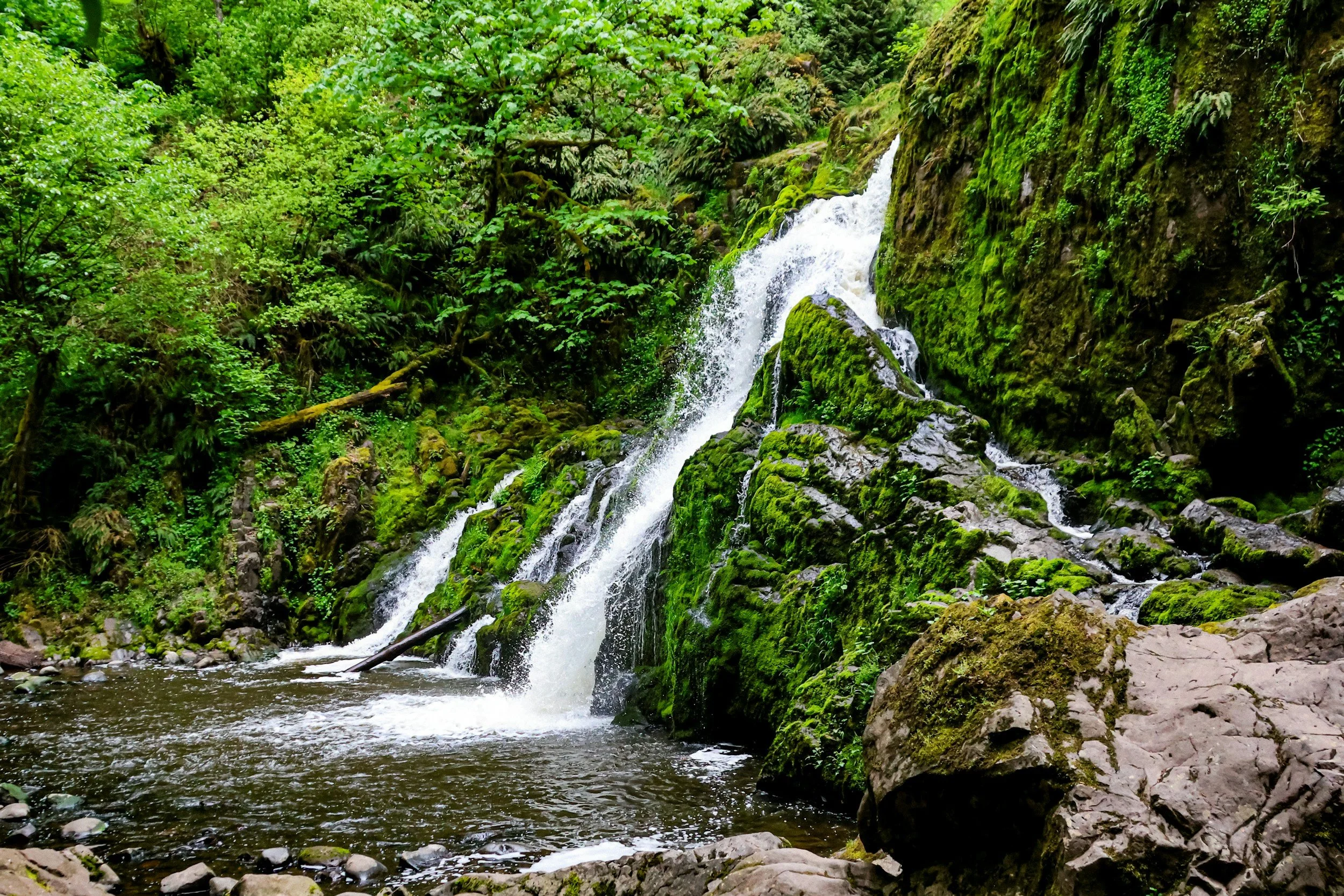 Termination Toolkit (Part 1)