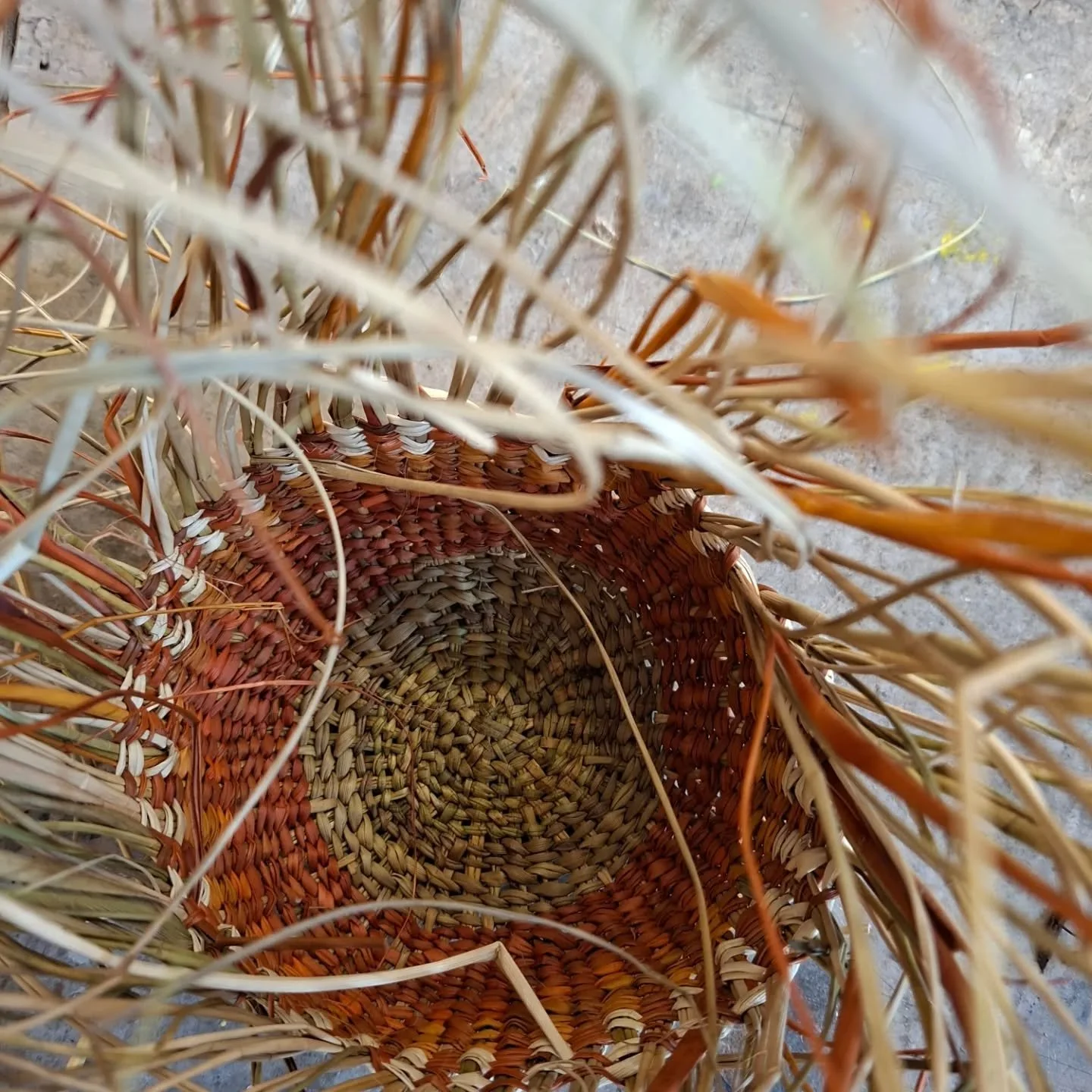 Wonderful weaving and stories by BasketryNSW members @margaiken and @jagissing were shared at our monthly basketry meet-up. These pieces were made in the Mapurur Community, NT, under the teaching of Roslyn from Arnhem Weavers, organised by @ceresbrun