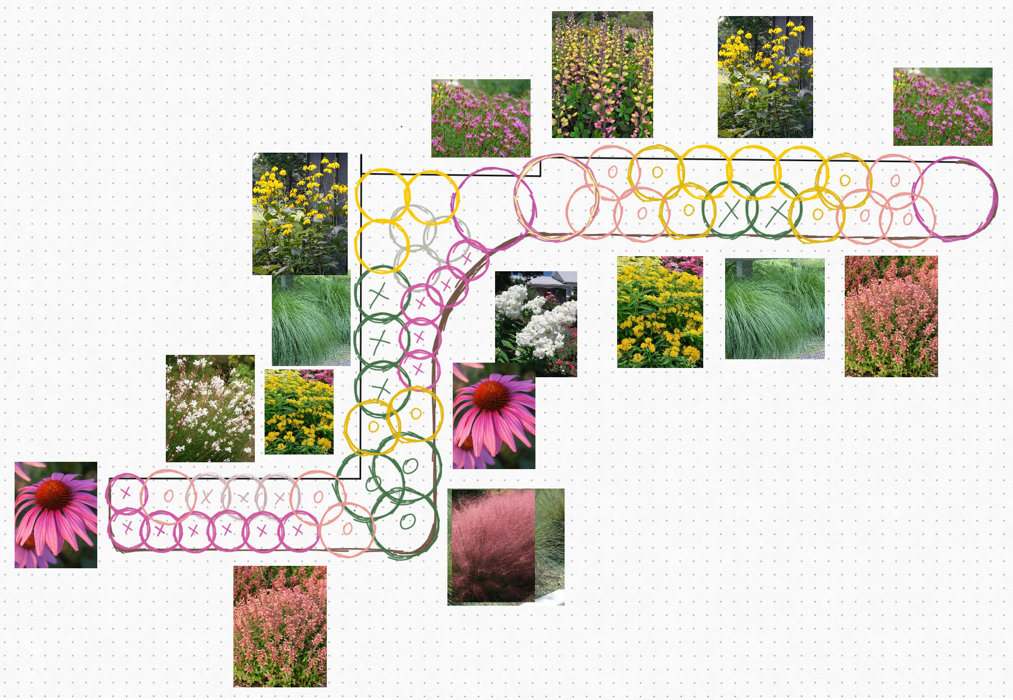 Image of a water-wise landscape bed design with blooms across 3 full seasons