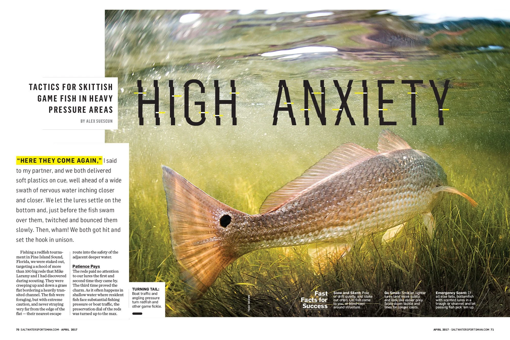 SLS0417_F3-PRES_Heavily-Pressured-Fish-(1)-1.jpg