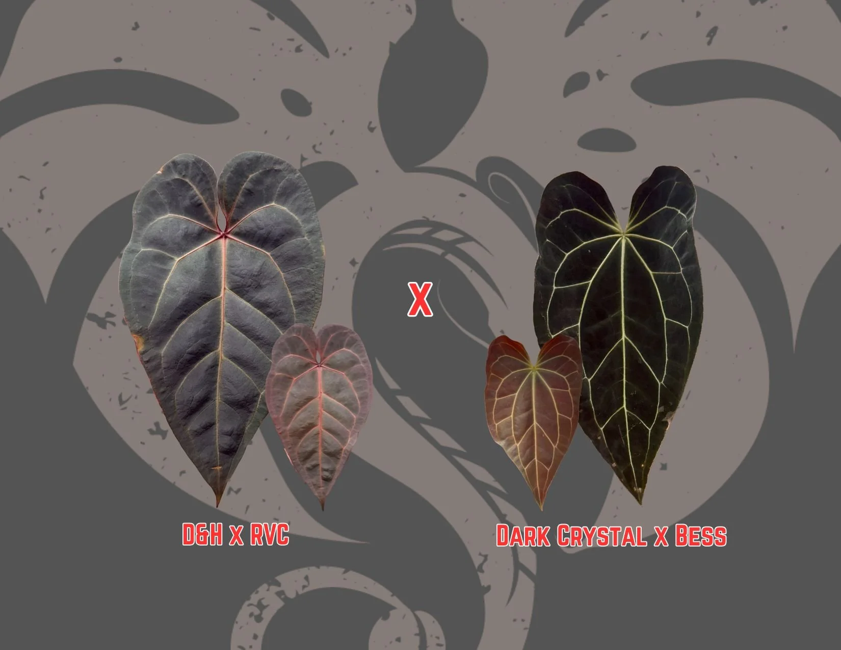 (D&H x RVC) X (DC x Bess)