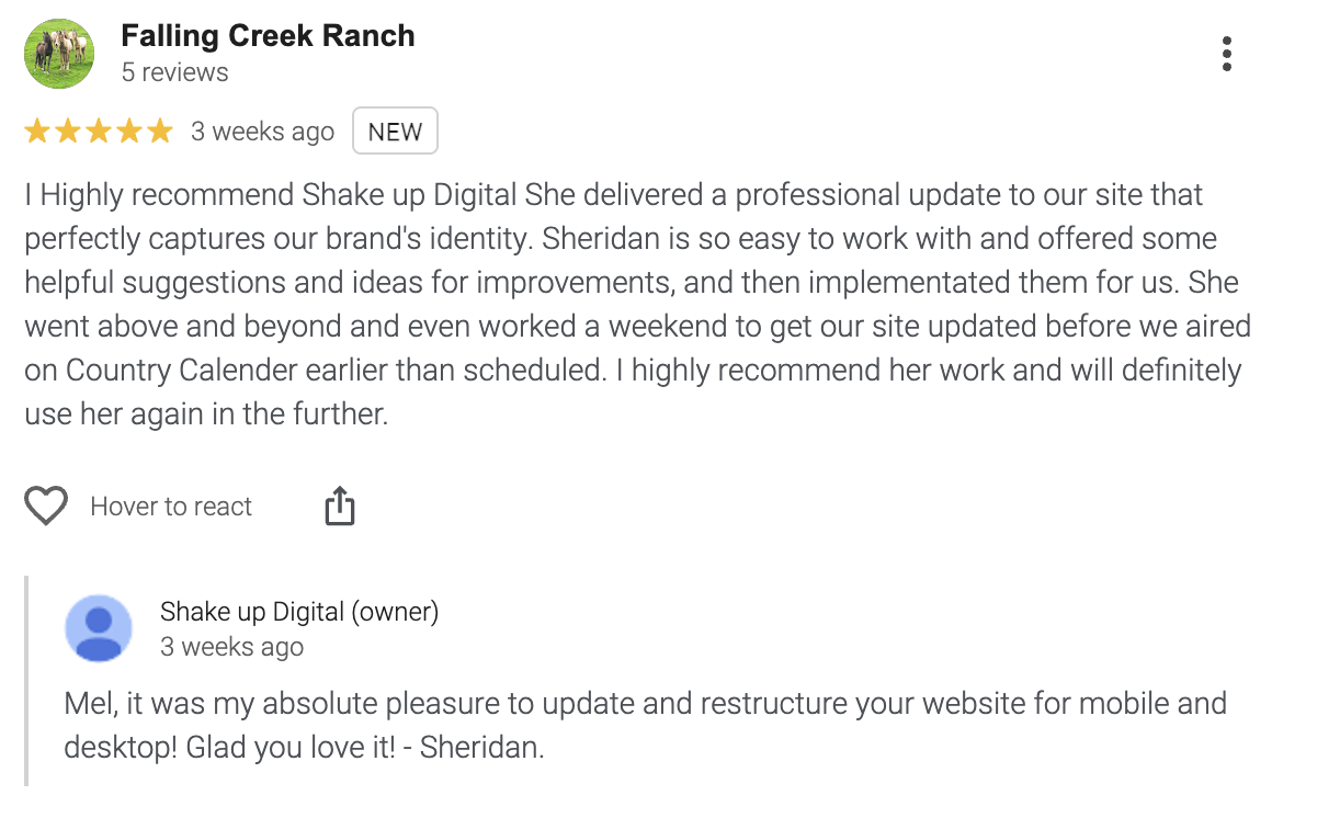 Shake up digital new zealand website design review 5 stars
