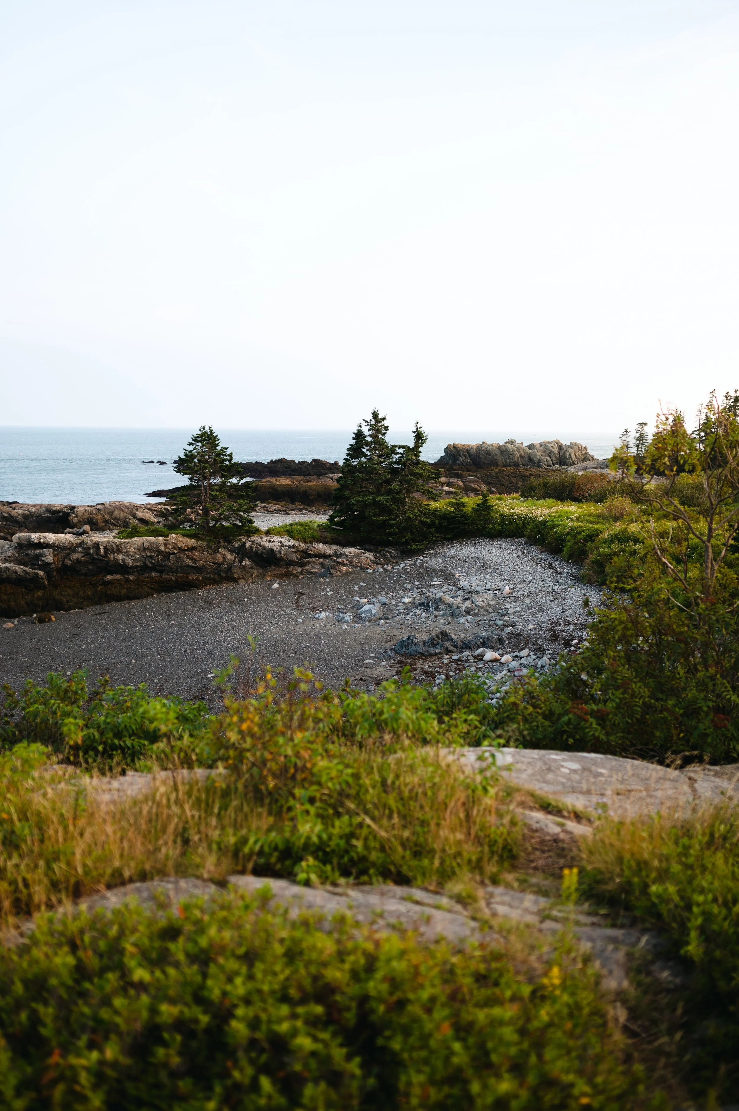 DSC_4328.JPG