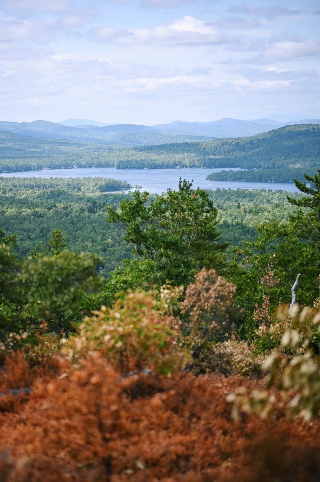 Bald Pate Mountain Preserve Bridgeton, ME - Trail Review