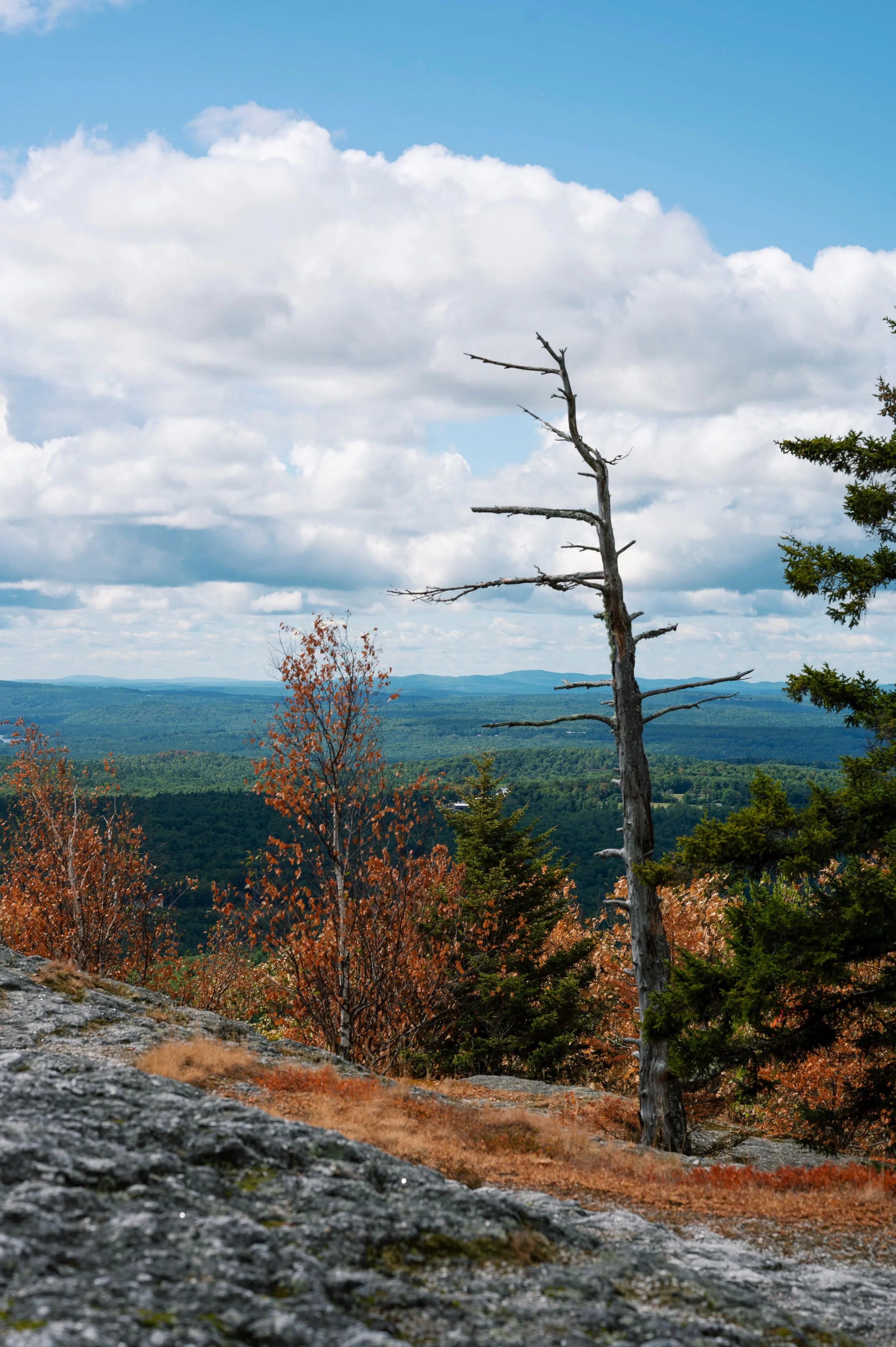 Hall Pond &amp; Singepole Mountain Trail in Paris, Maine -Trail Review