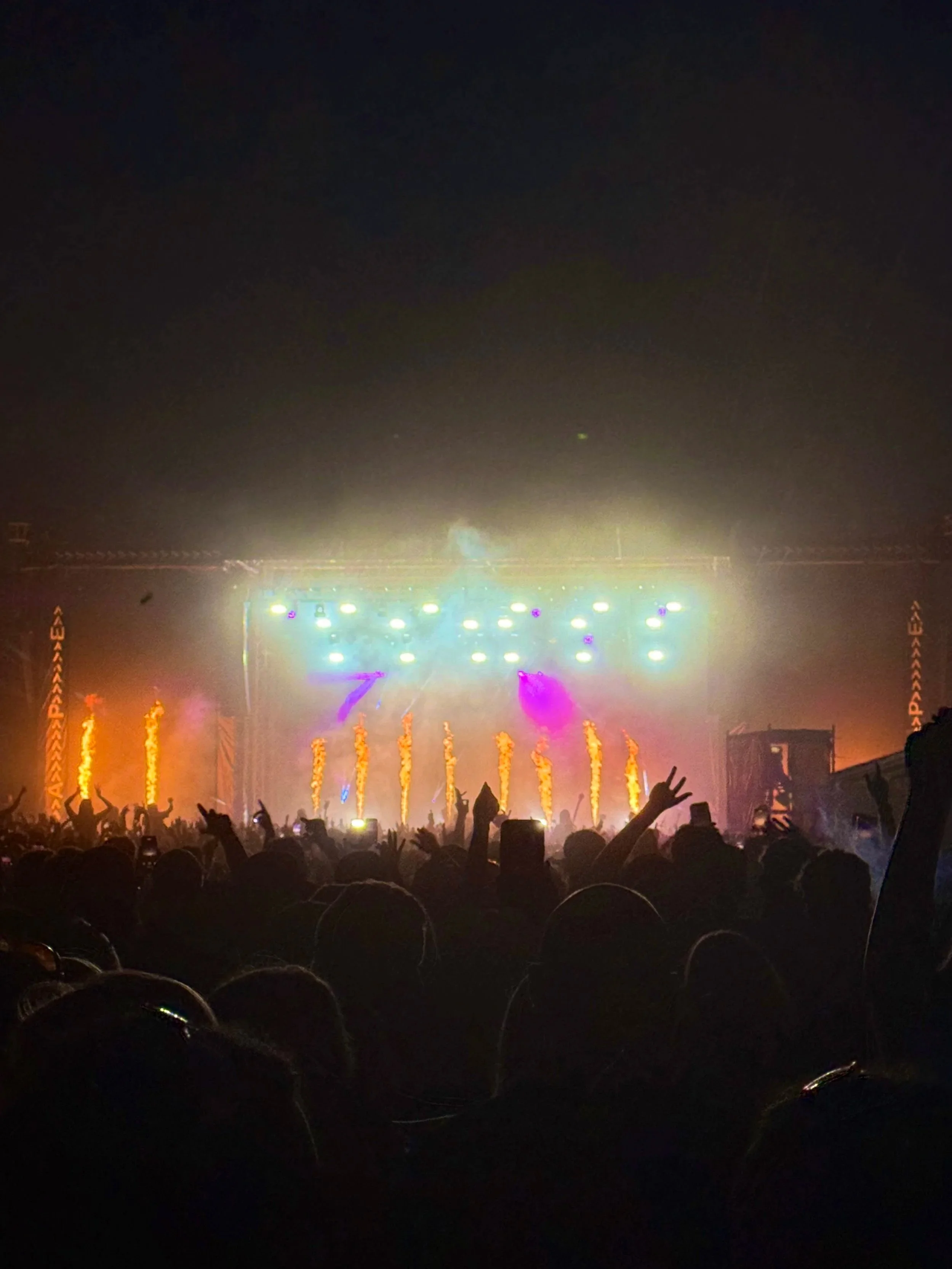 A concert or music festival with a large crowd under a dark sky, colorful stage lights, flames shooting upward, and silhouetted people raising their hands.