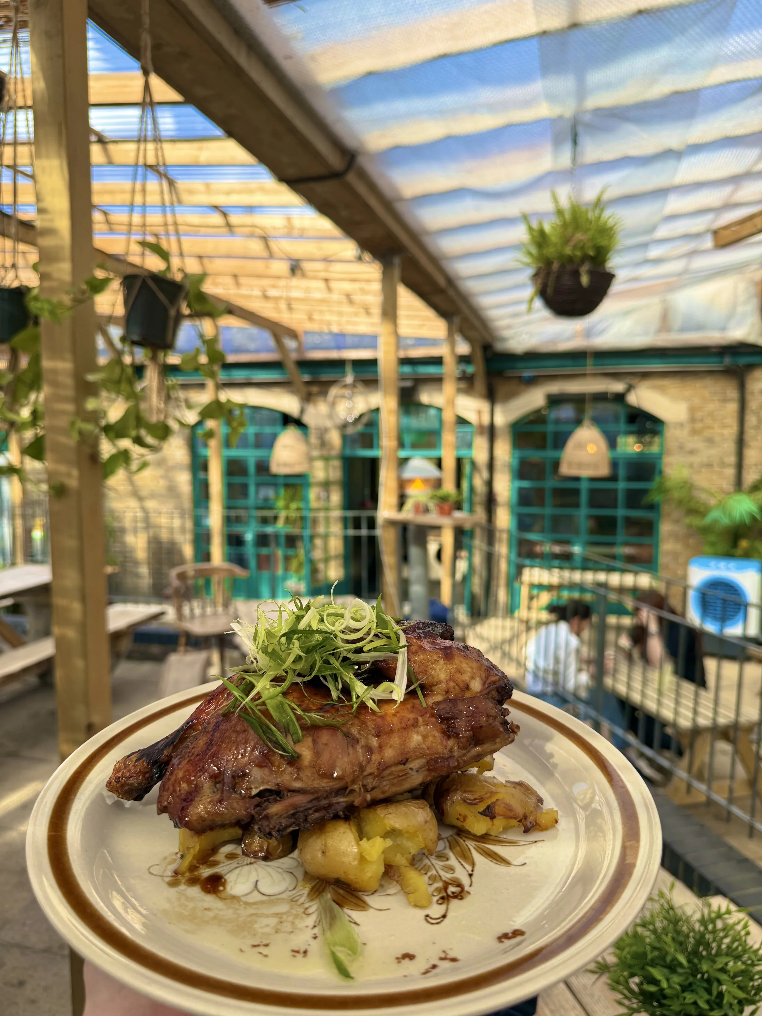 A plate of roasted chicken with greens on top and roasted potatoes underneath, held in a hand inside a cozy, rustic outdoor dining area with wooden and brick elements, hanging plants, and string lights.