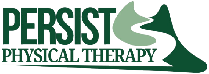 Persist Physical Therapy