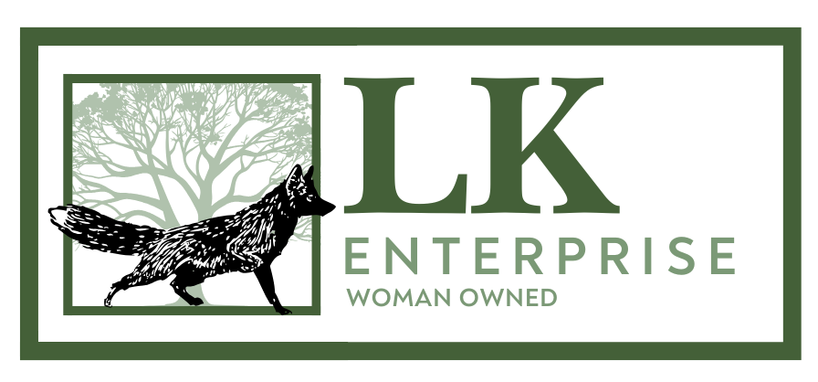 LK Enterprise