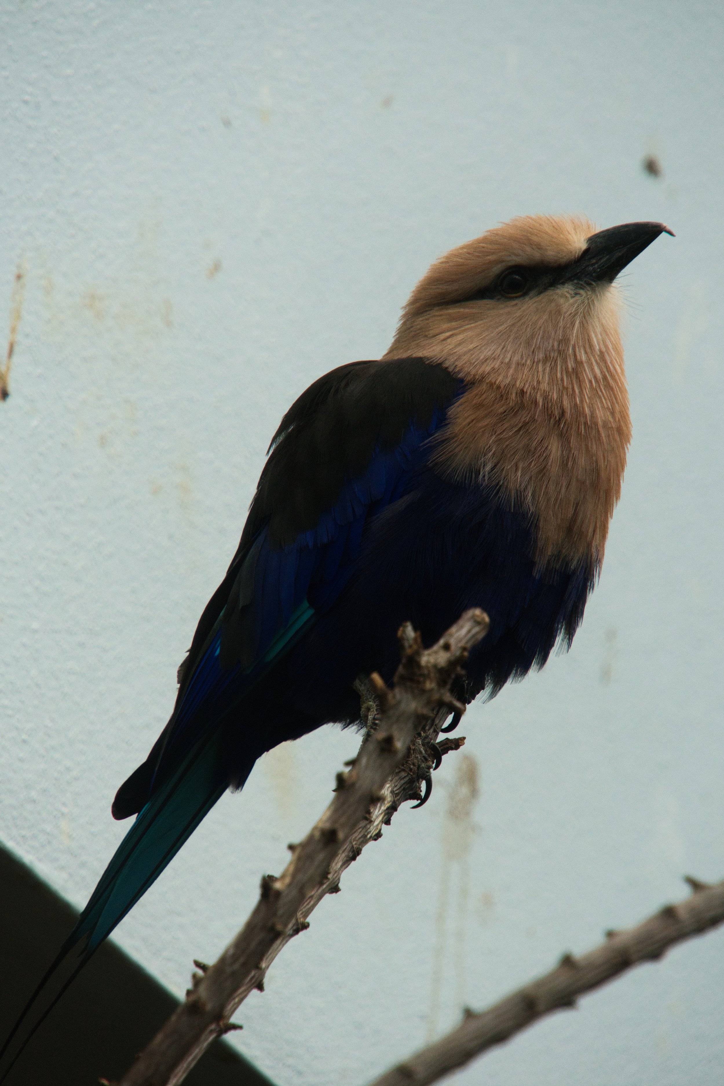 DSC05645.jpg