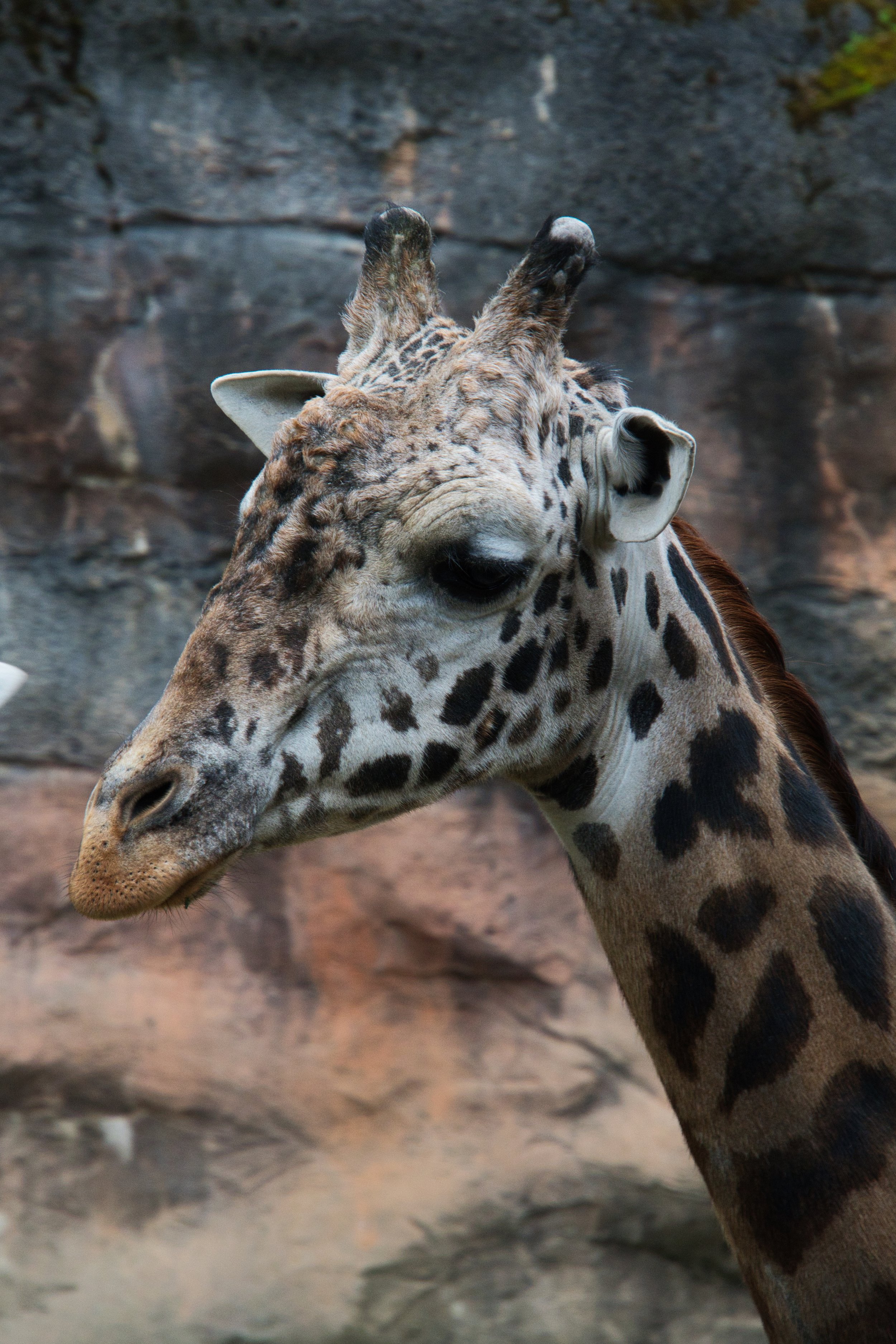 DSC05661.jpg