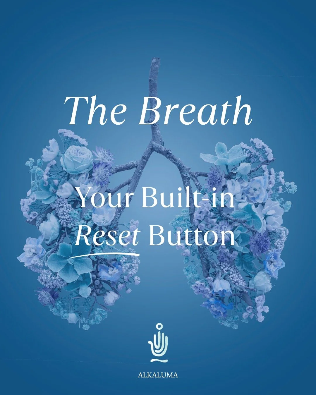 THE BREATH &mdash; YOUR BUILT-IN RESET BUTTON

The fastest way to stabilise any system is to regulate its input.

Your nervous system is no different.

And you were given a built-in tool that can calm the body in under a minute.

Your breath.

Breath