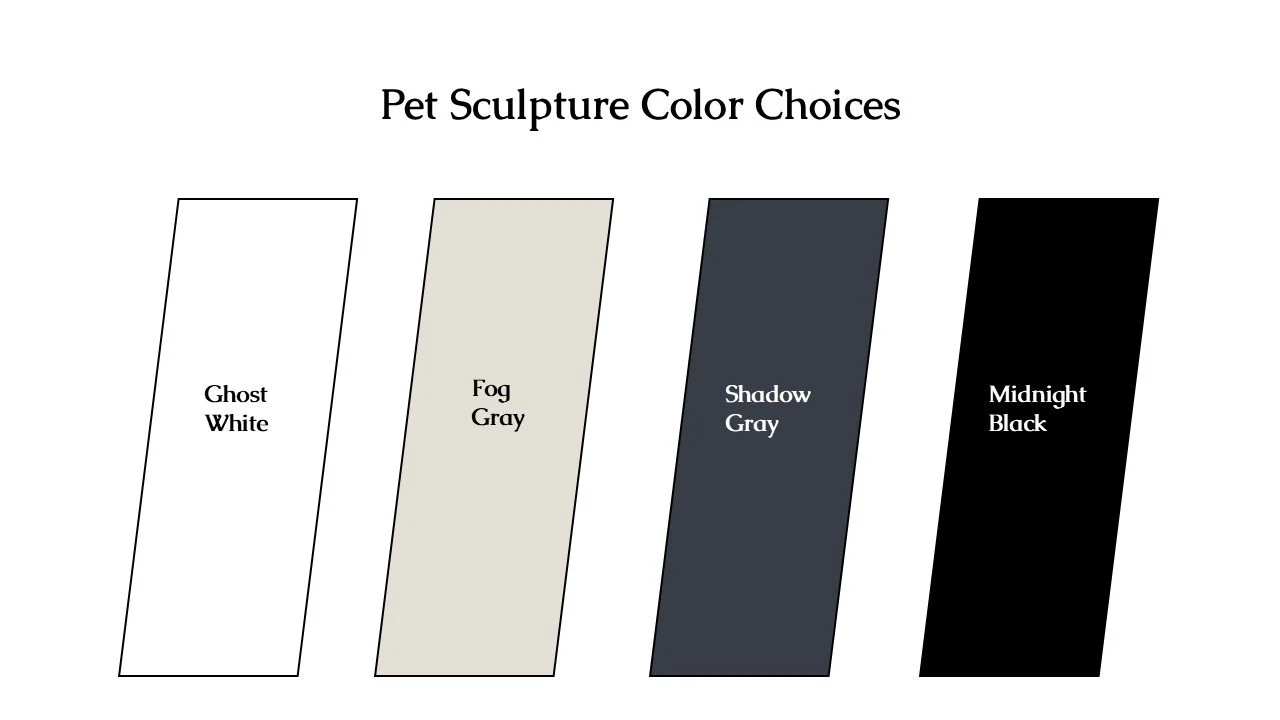 Color Options.jpg