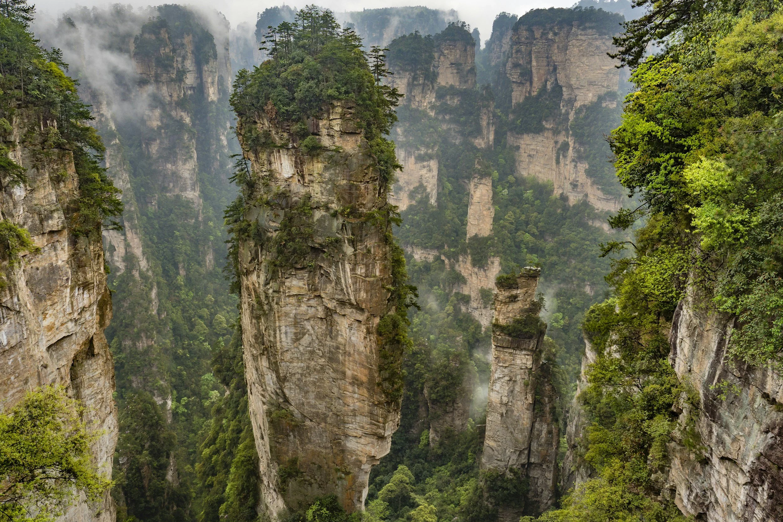 unsplash-image-ZOuIaocaNDA.jpg