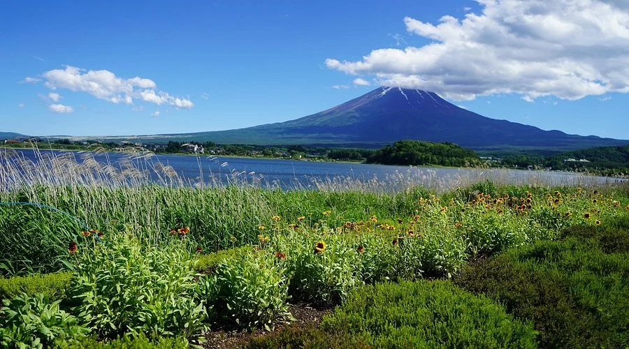 Oishi Park.jpg