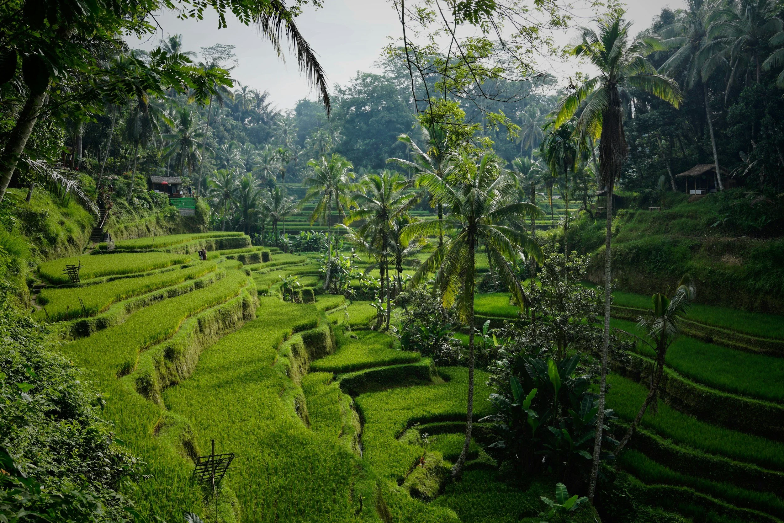 Ubud: el corazón de Bali