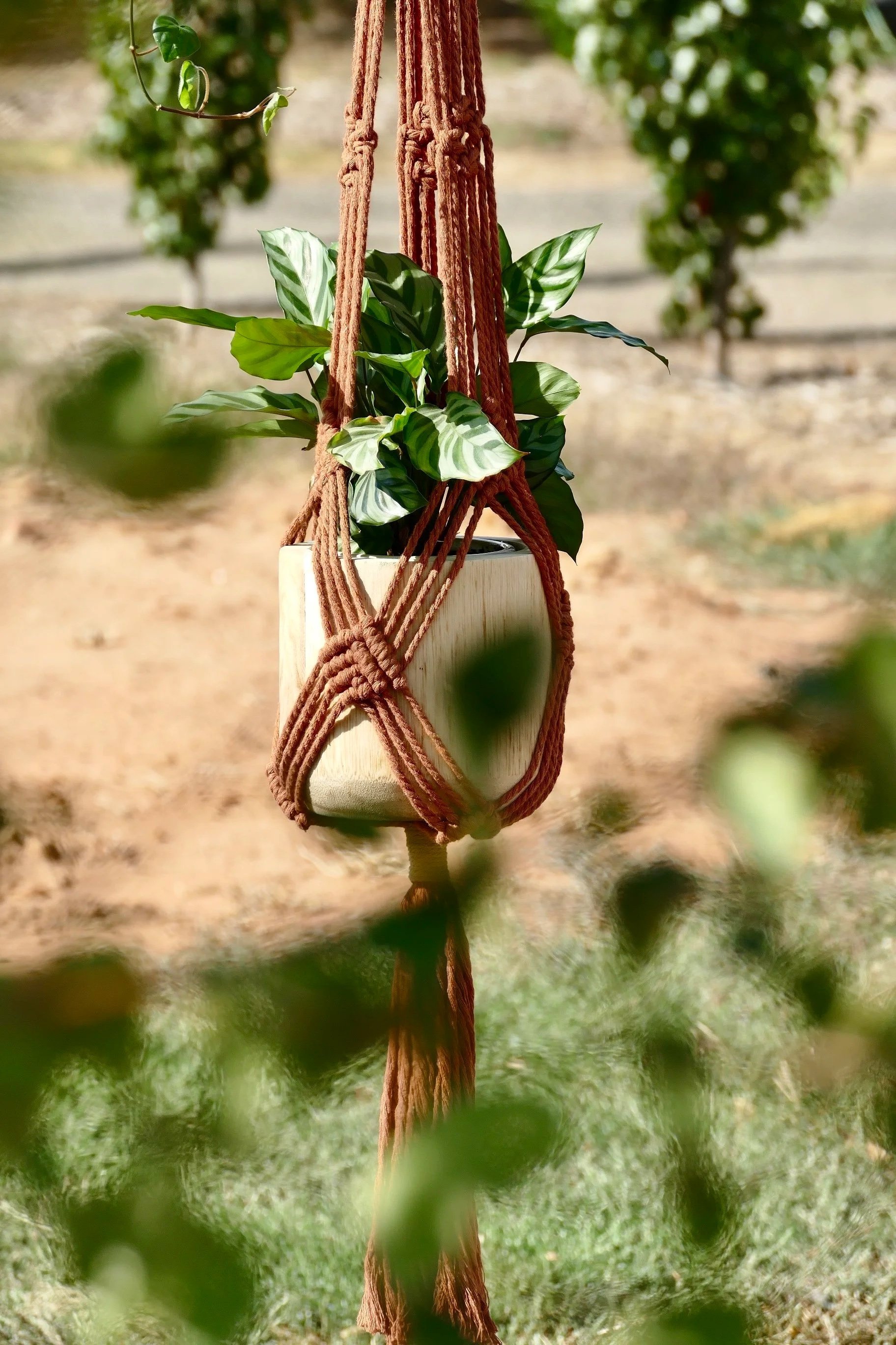 Double Clay Plant Hanger