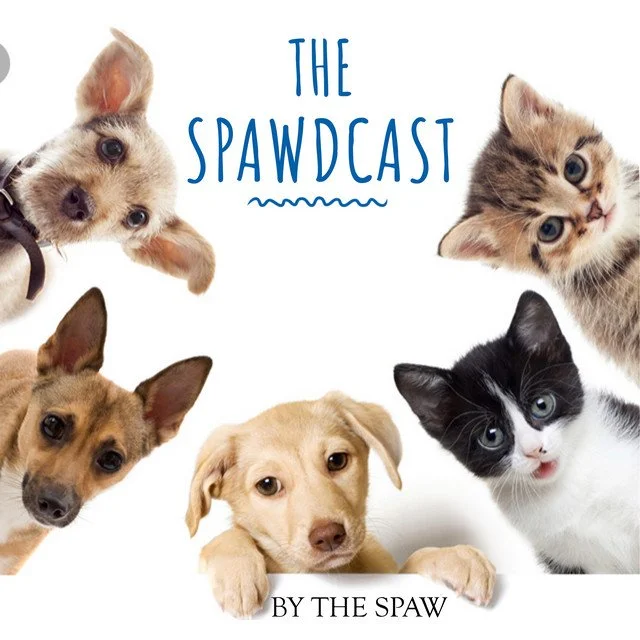 The spawdcast .jpeg