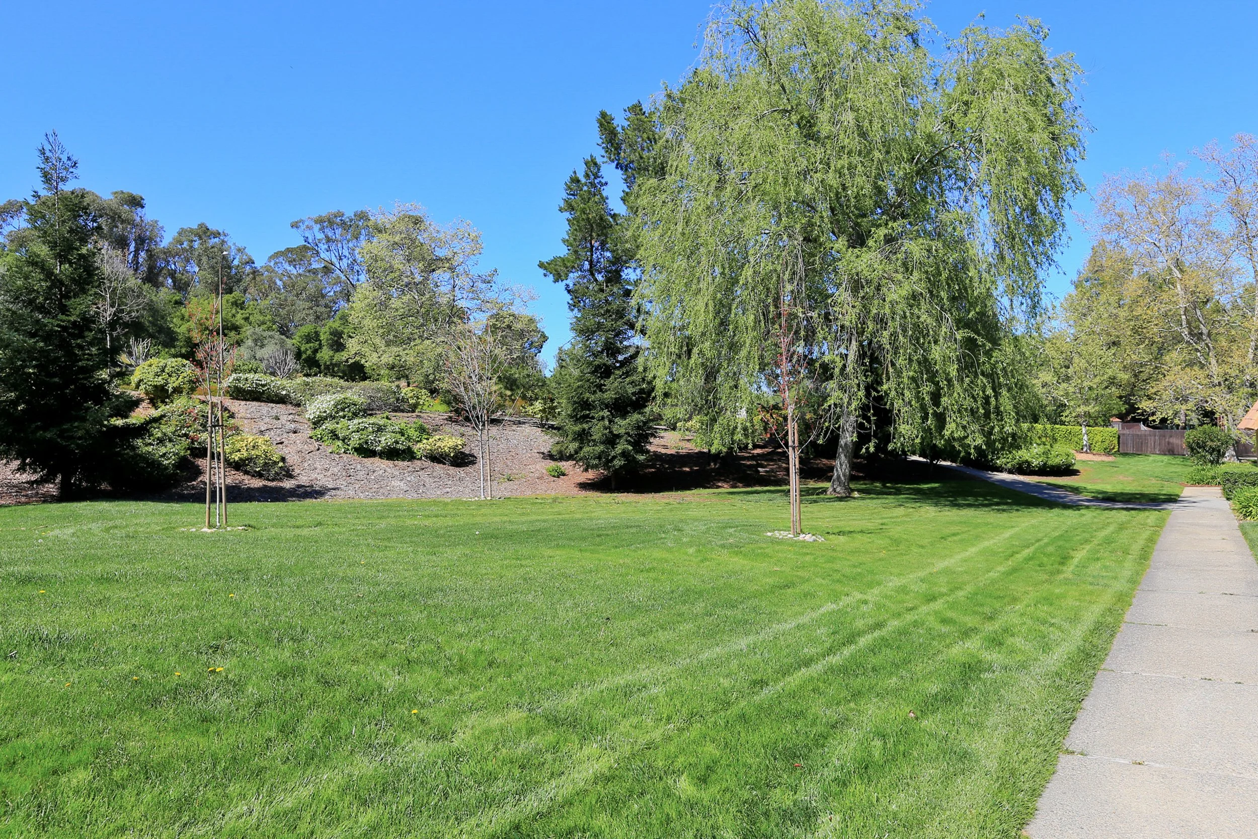 37-Rinconada_Matt Anello-3-MLS.jpg